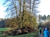 151206016_B_Am Wald entlang