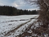 160123013_B_Ins Steinacher Ried