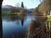 161204076_B_See Gieras