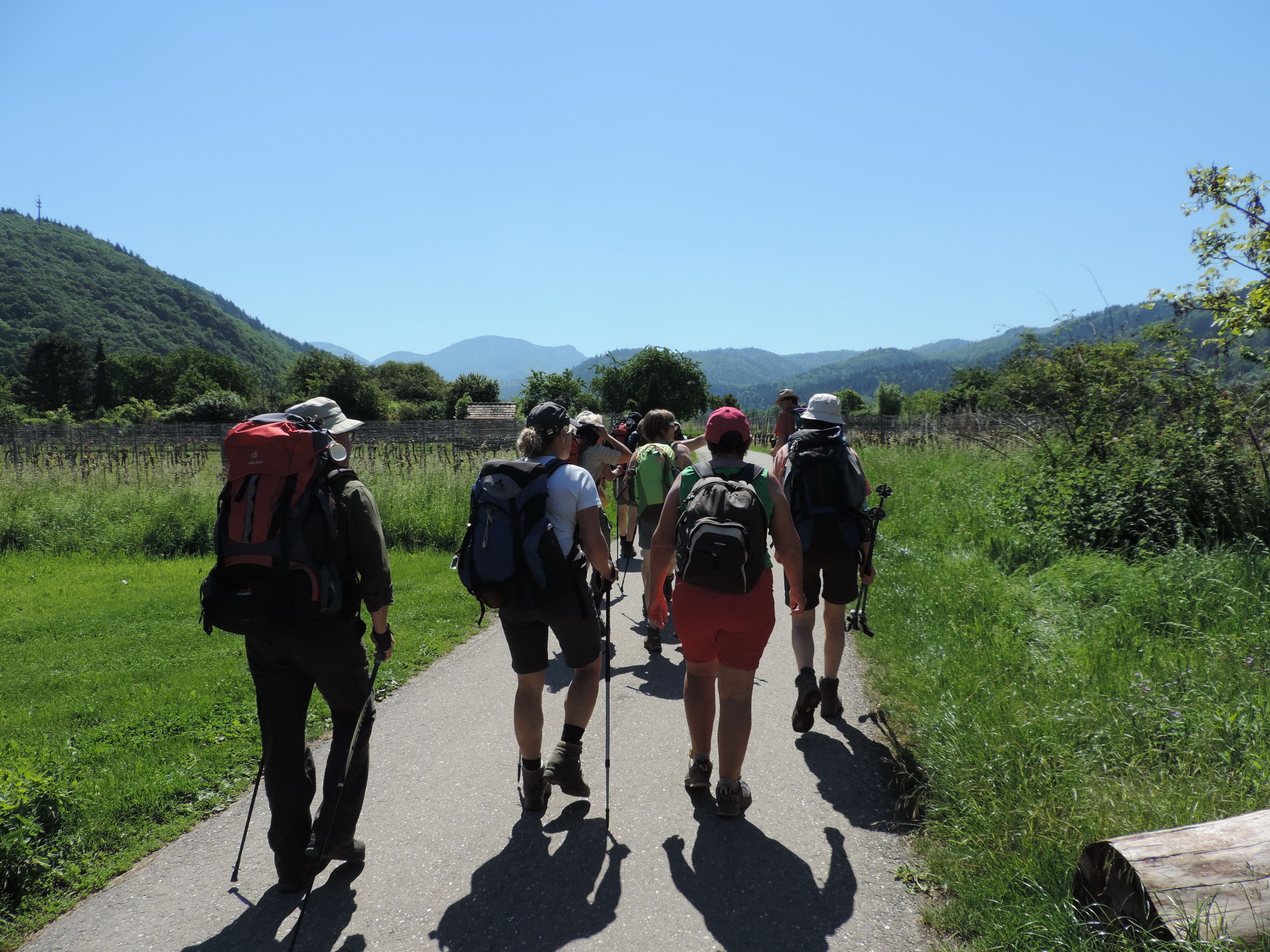 170526076_B_nach grunern