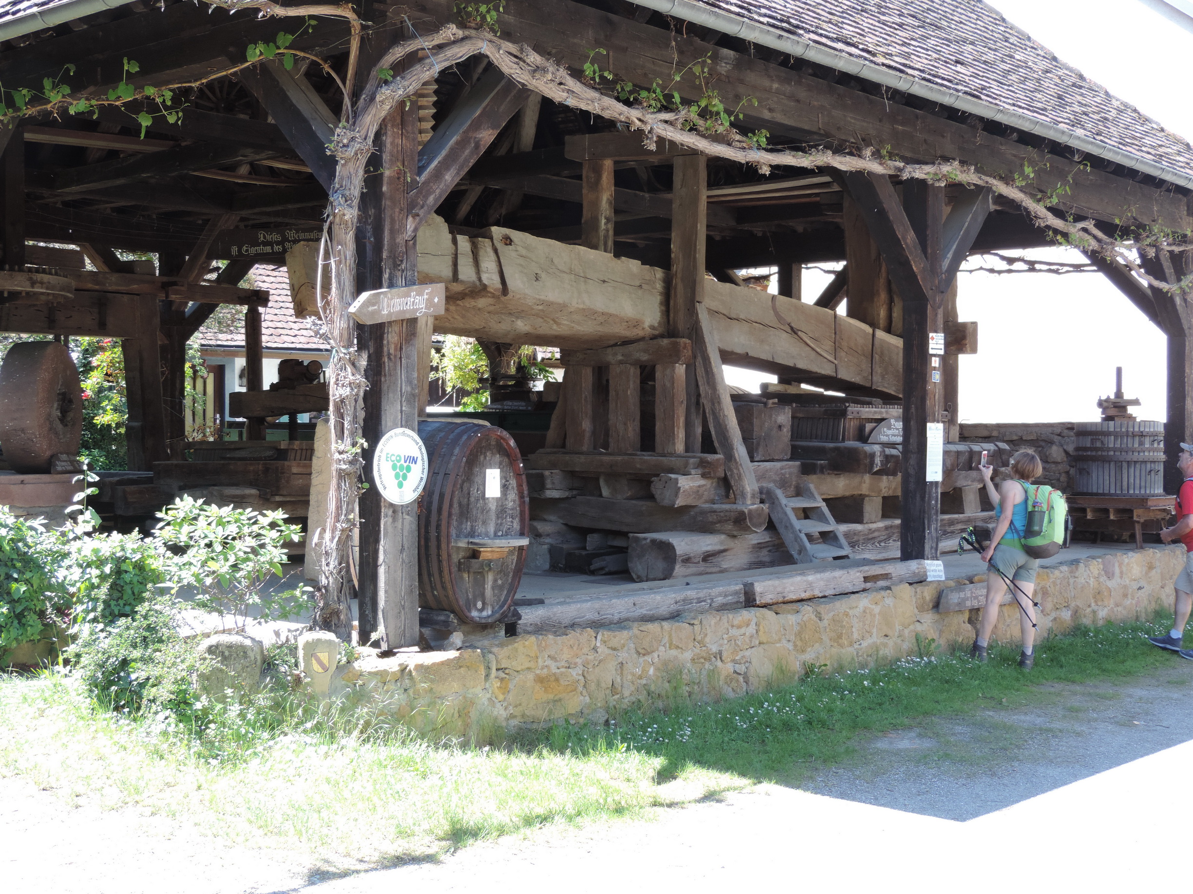 170526087_B_Grunern-Torkel