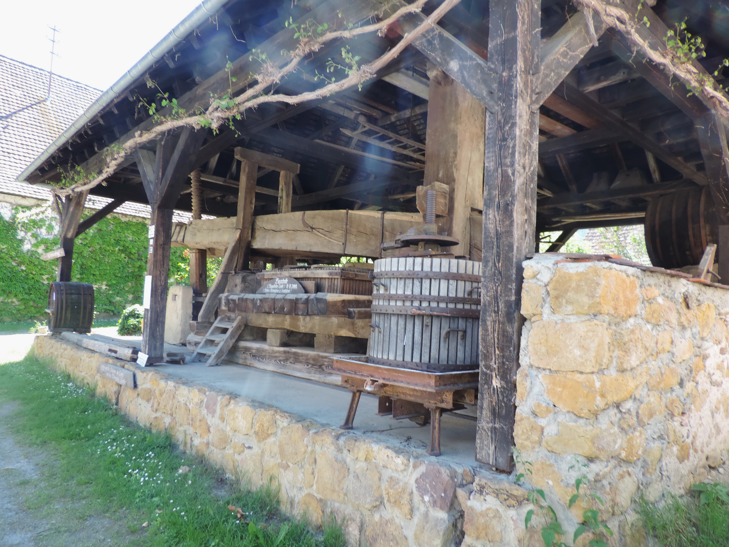 170526090_B_Grunern-Torkel