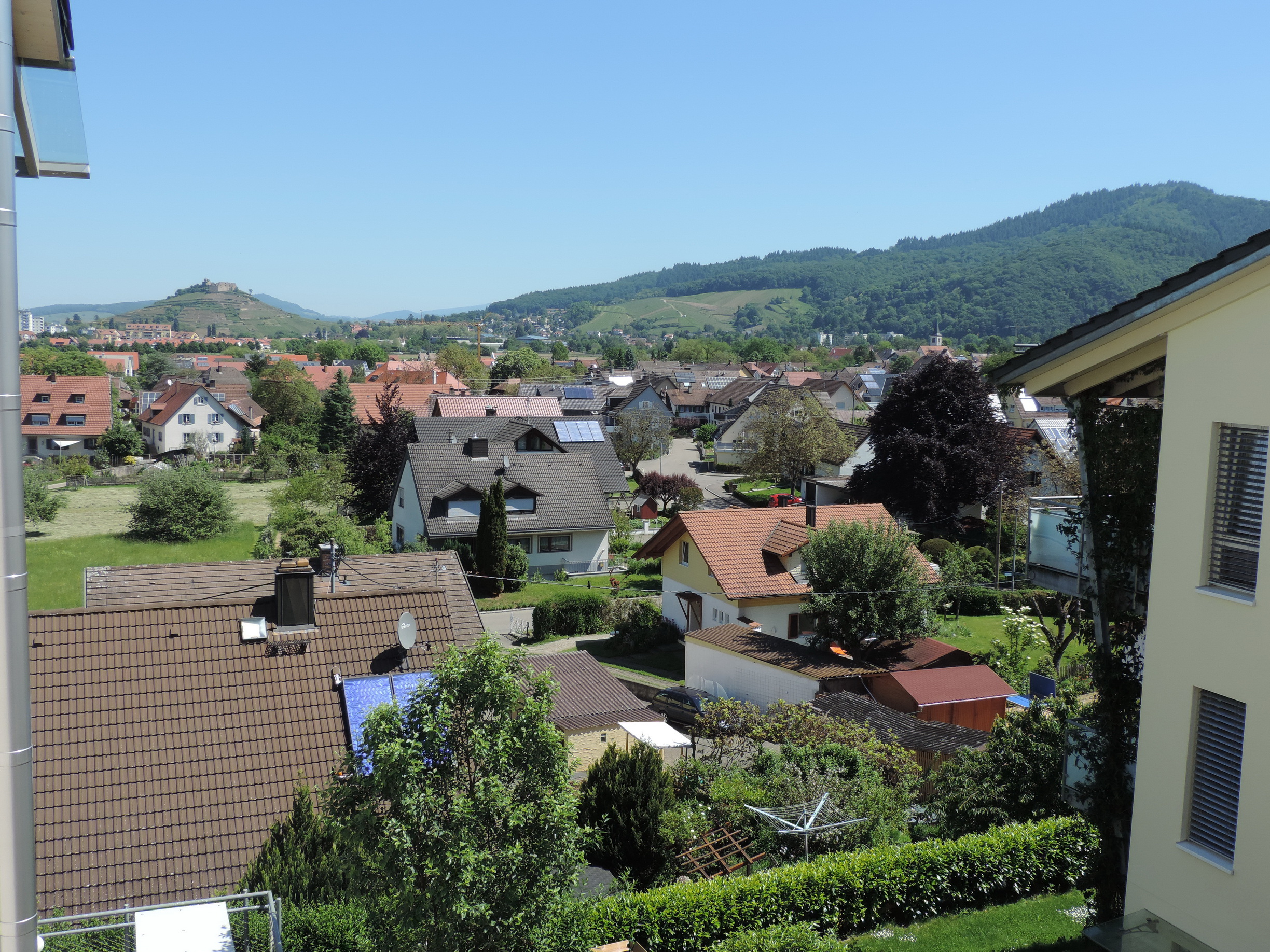 170526093_B_Grunern