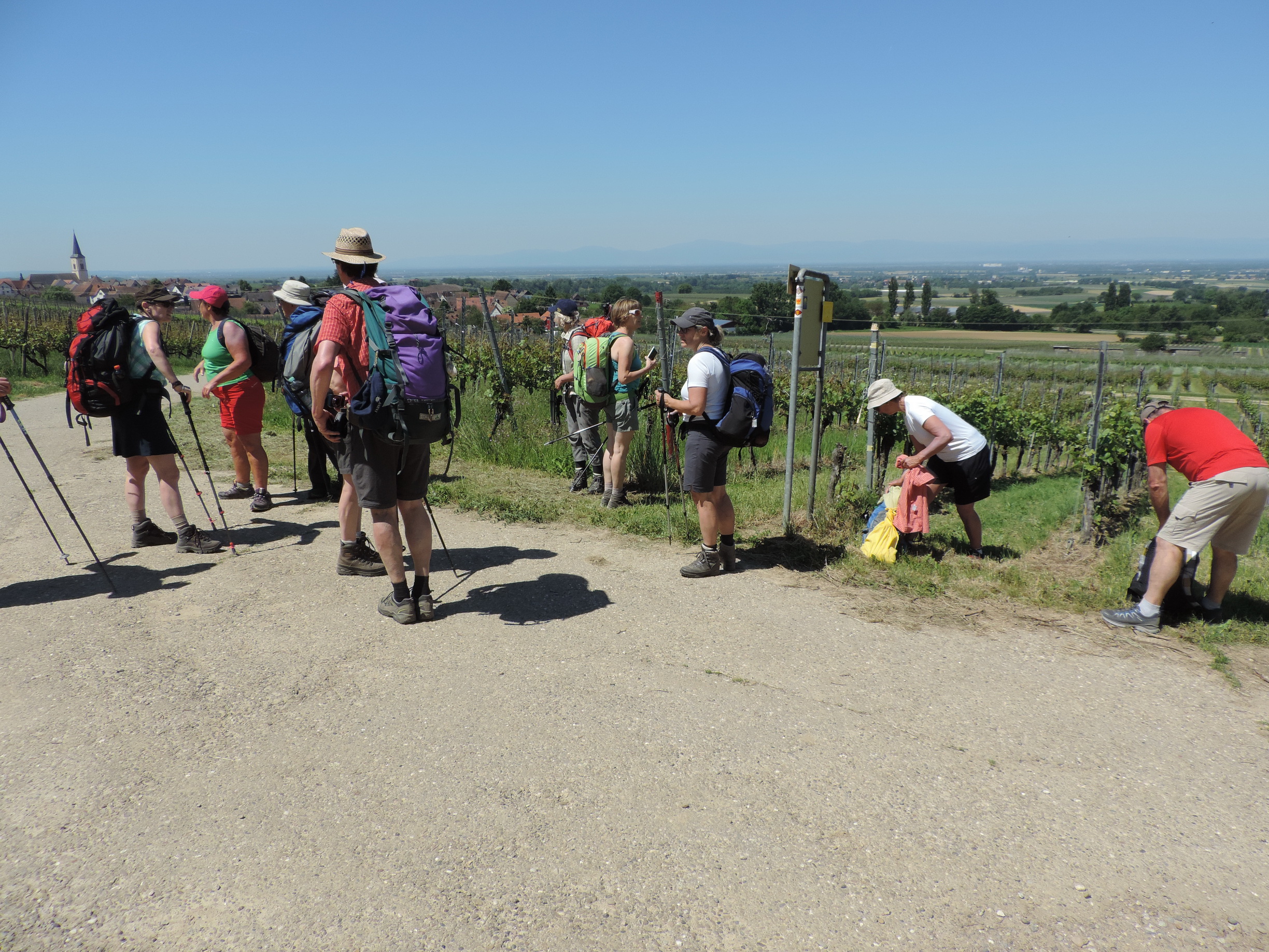170526096_B_Durch die Weinberge