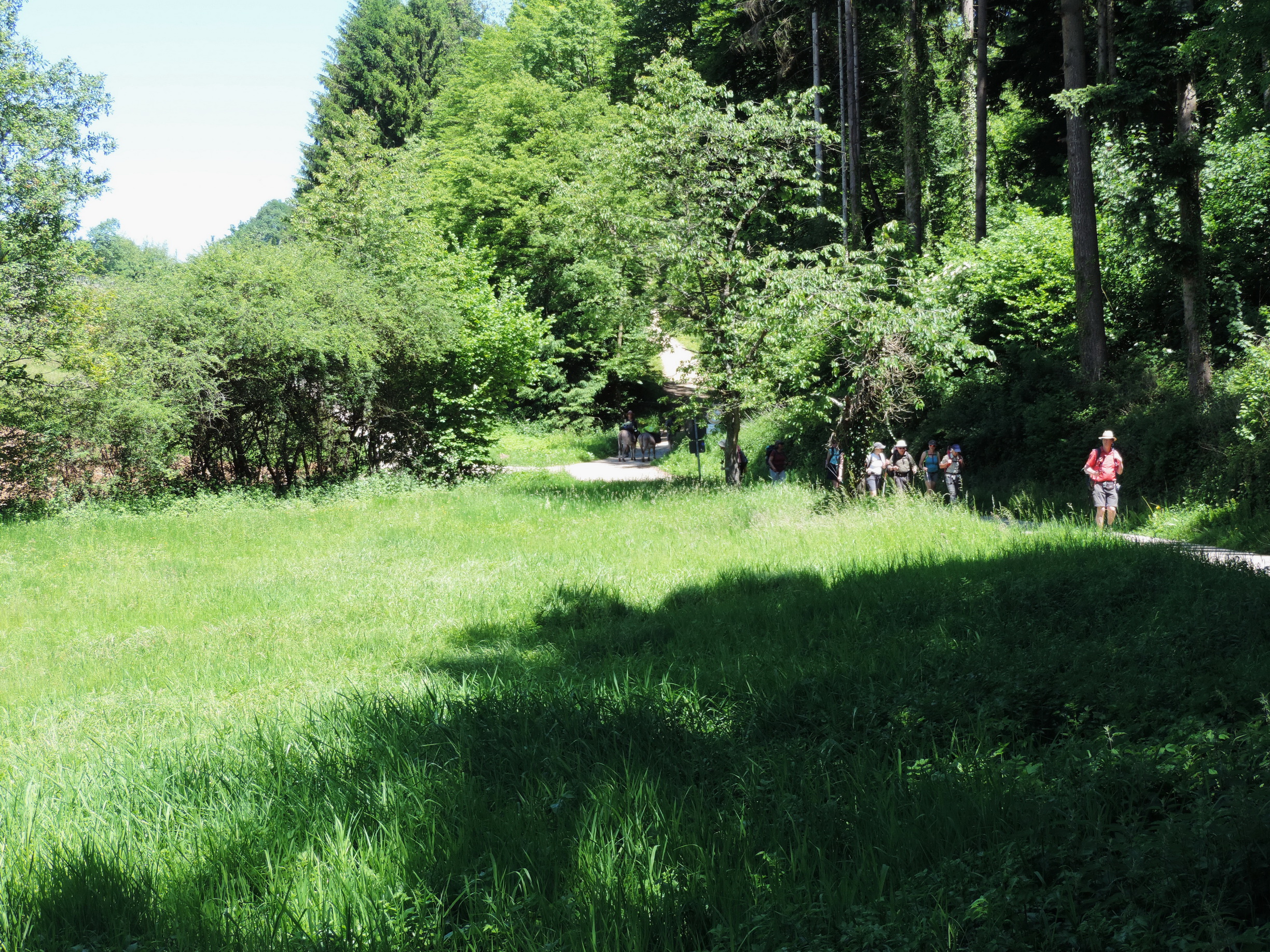170526109_B_Begegnung Esel