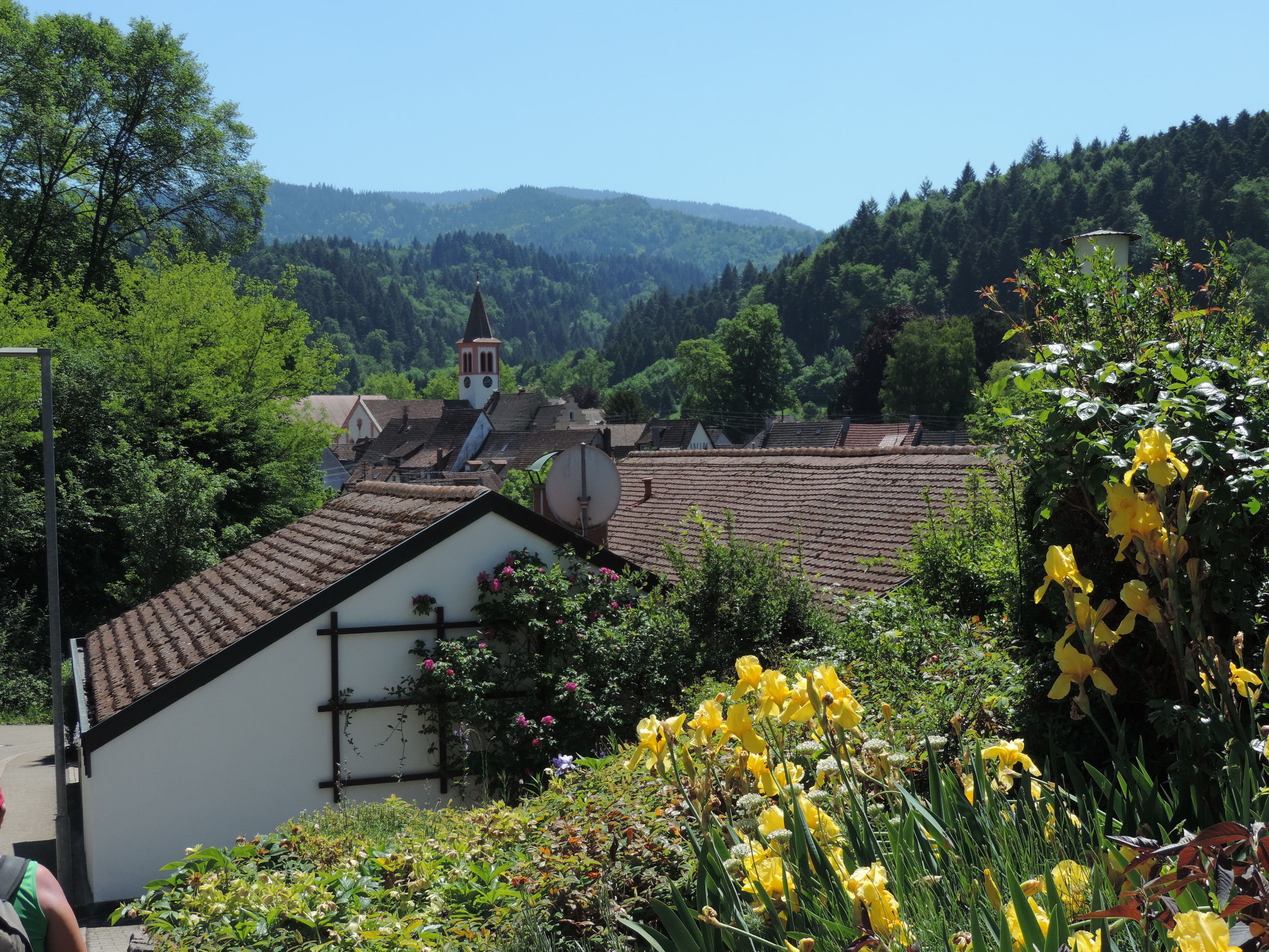 170526110_B_Sulzburg