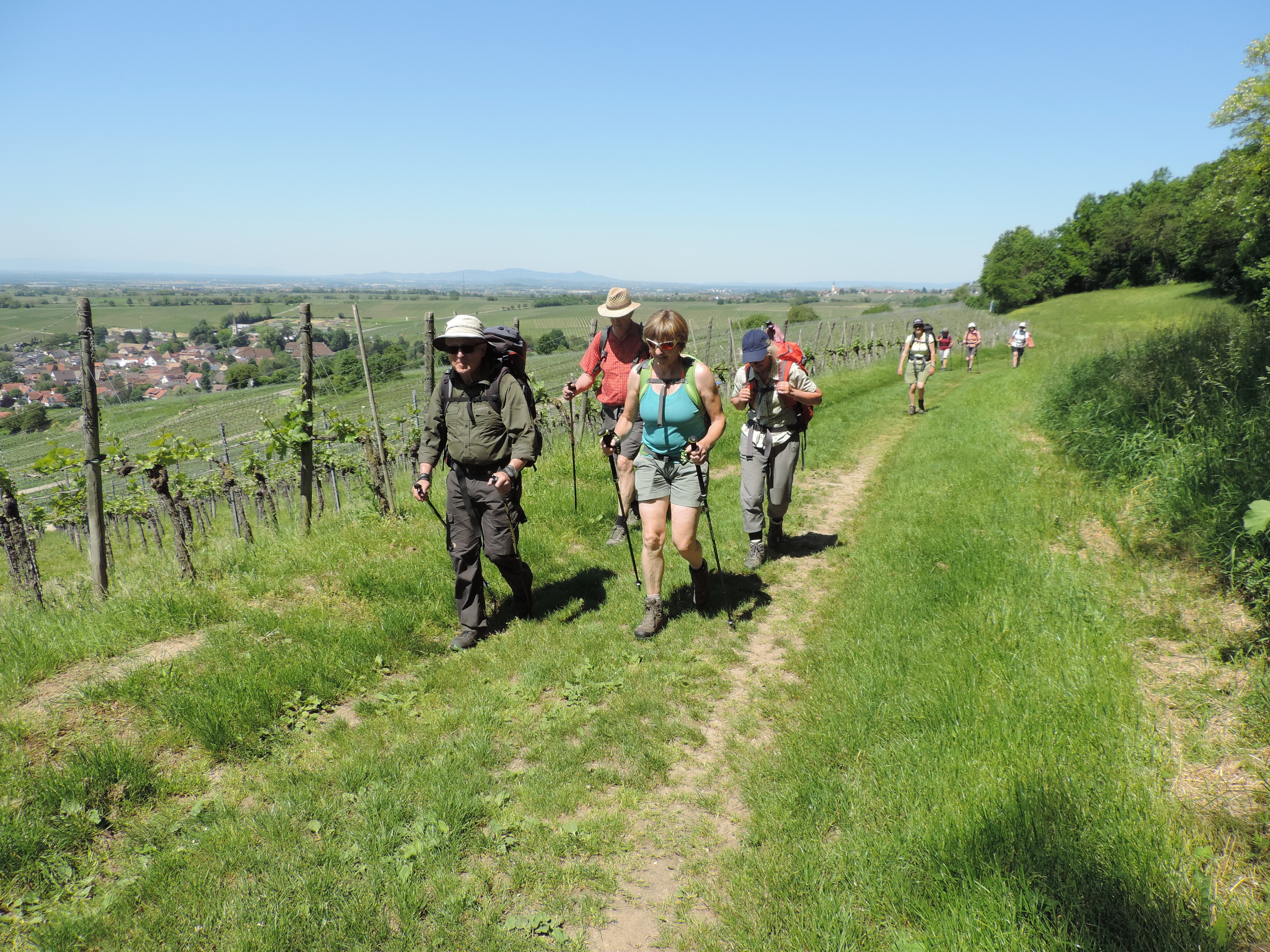 170526121_B_Durch die Weinberge