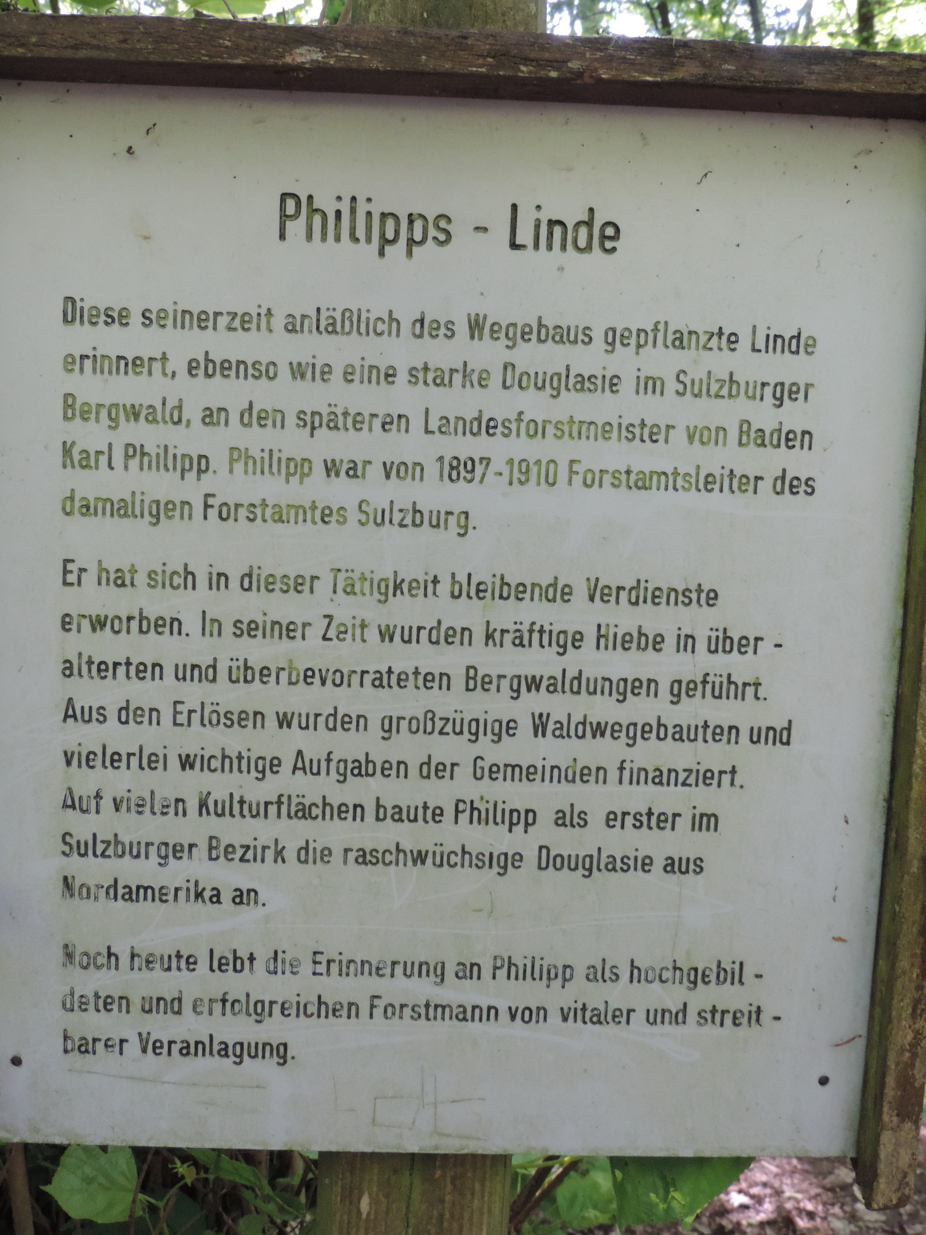 170526138_Bsch_Philipslinde