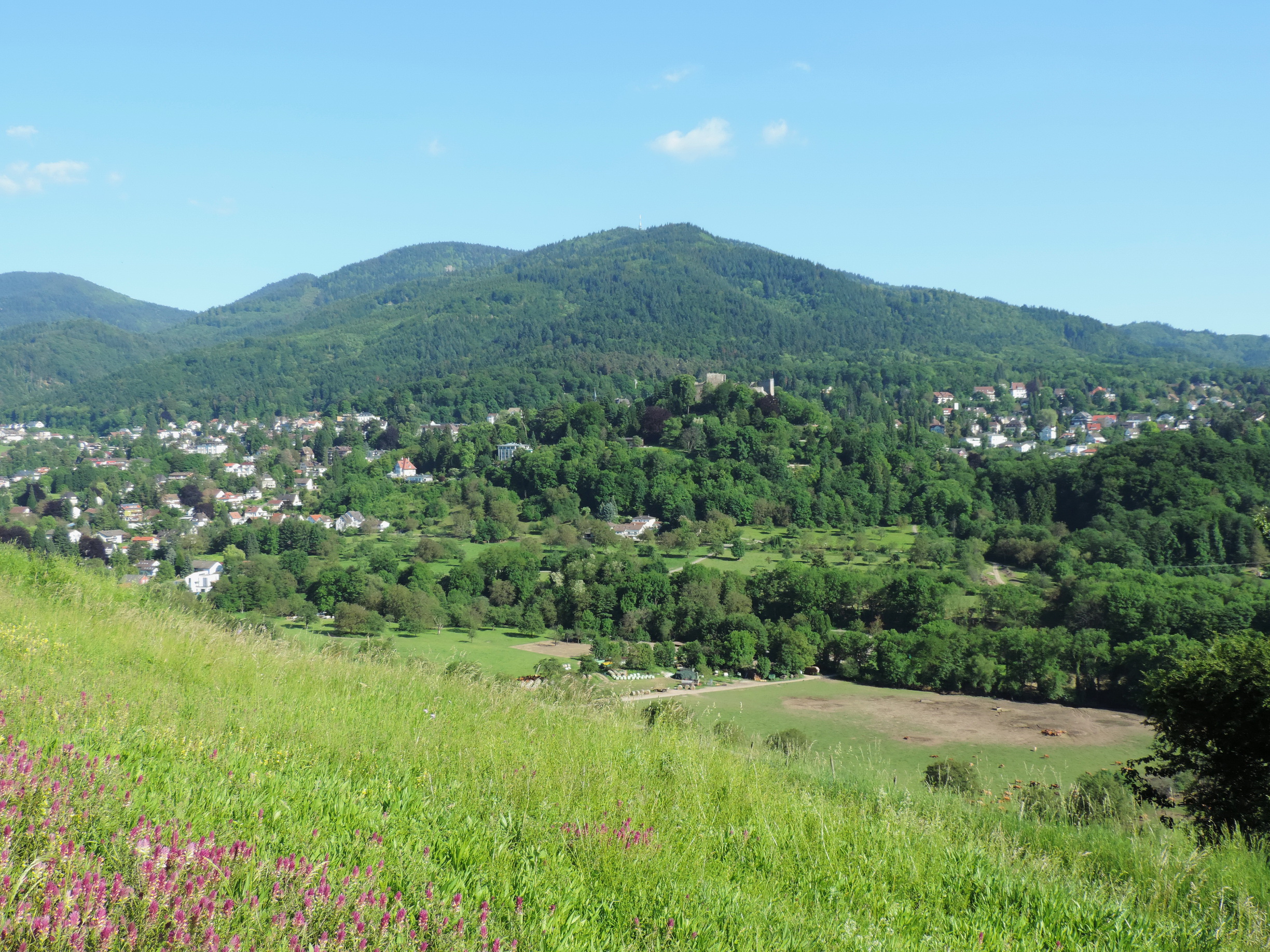 170526145_B_Badenweiler Blauen 1165m