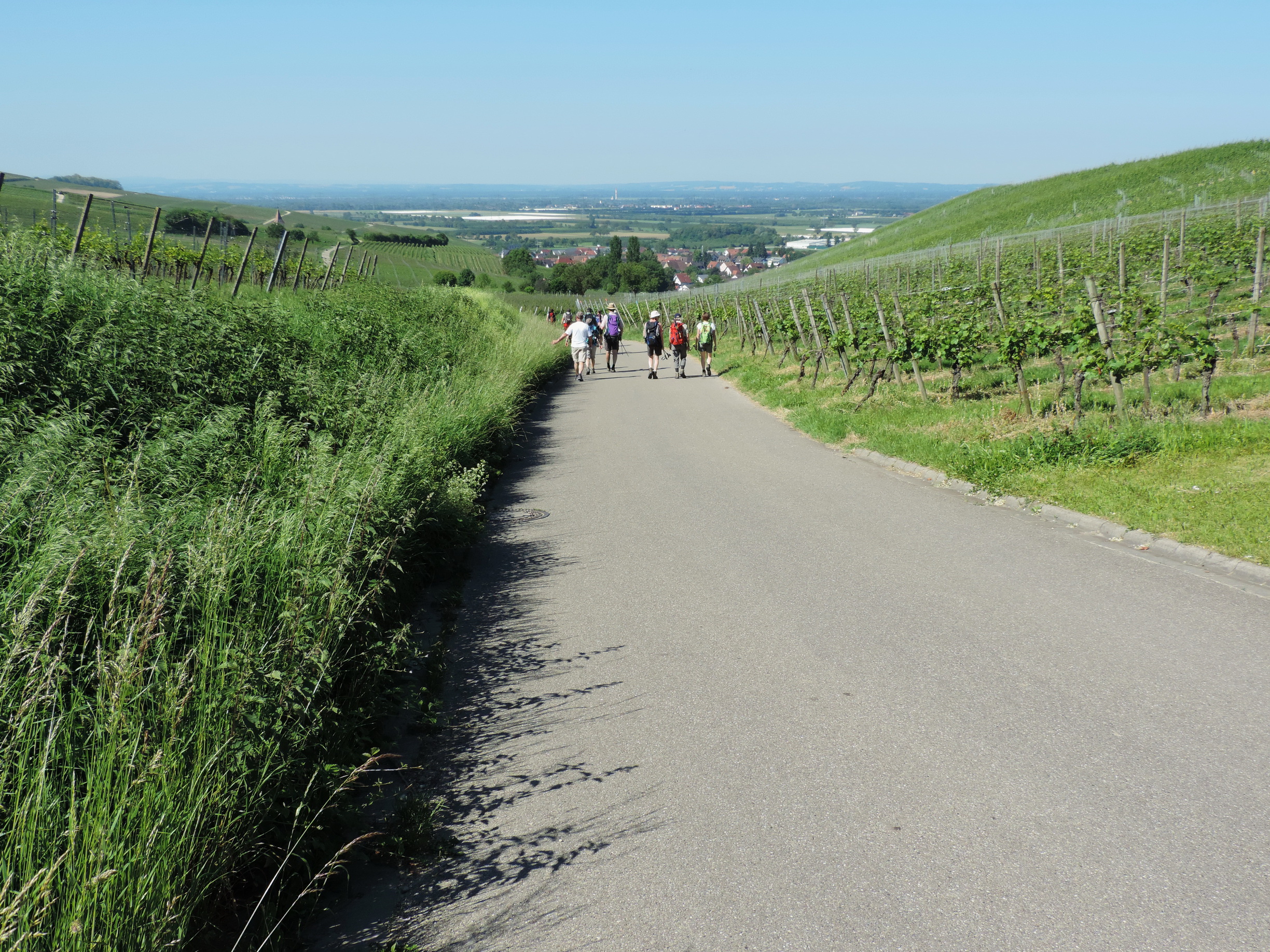 170527043_B_nach Sueden
