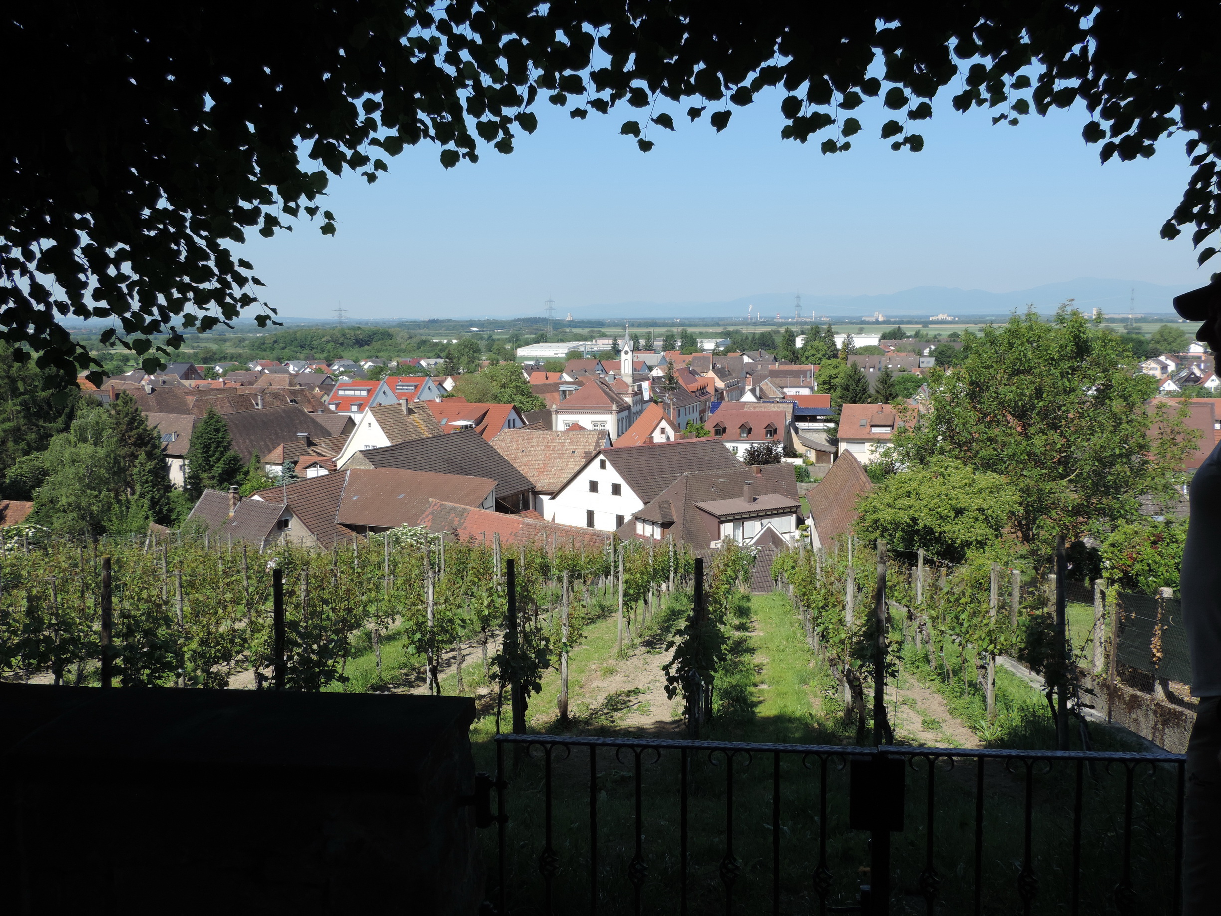 170527054_B_Auggen