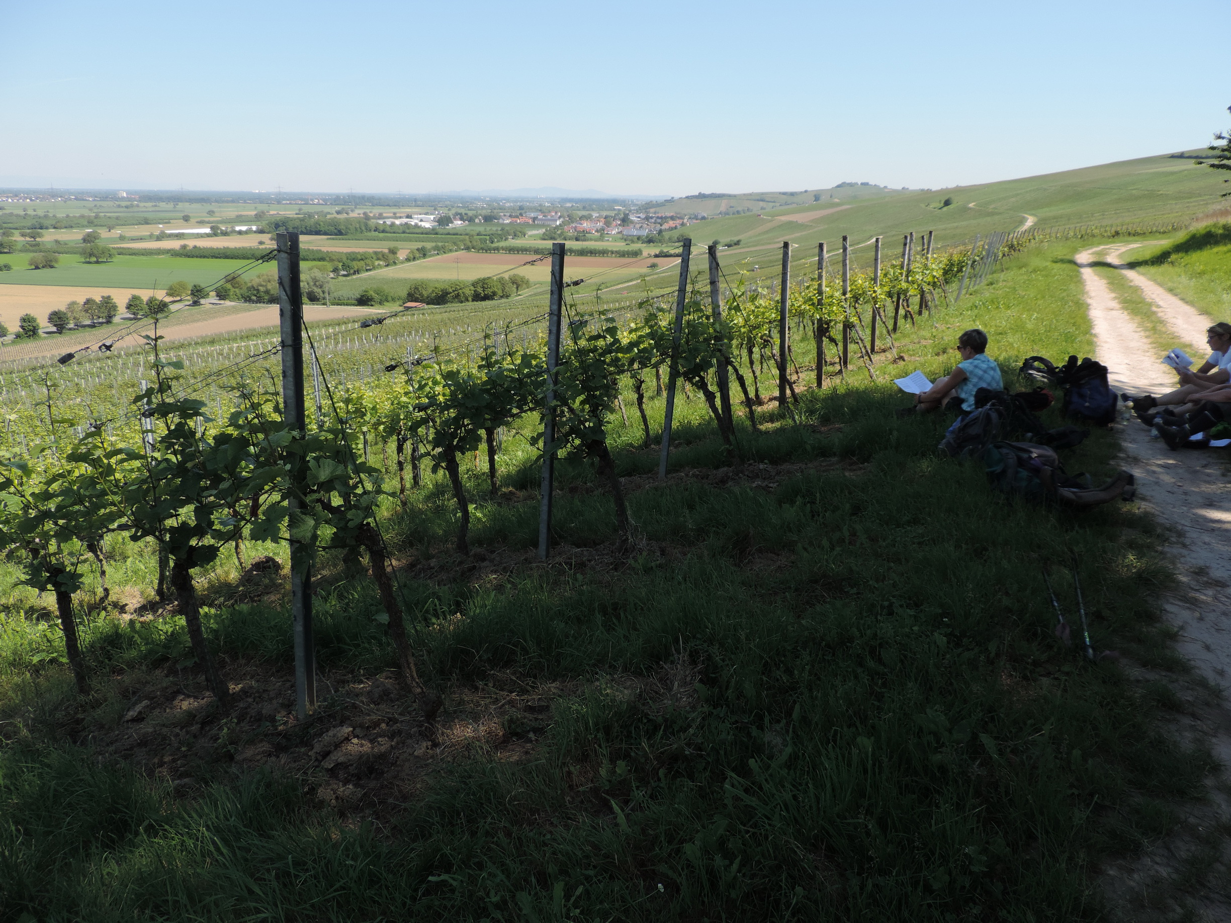 170527062_B_Uebers weite Weinland