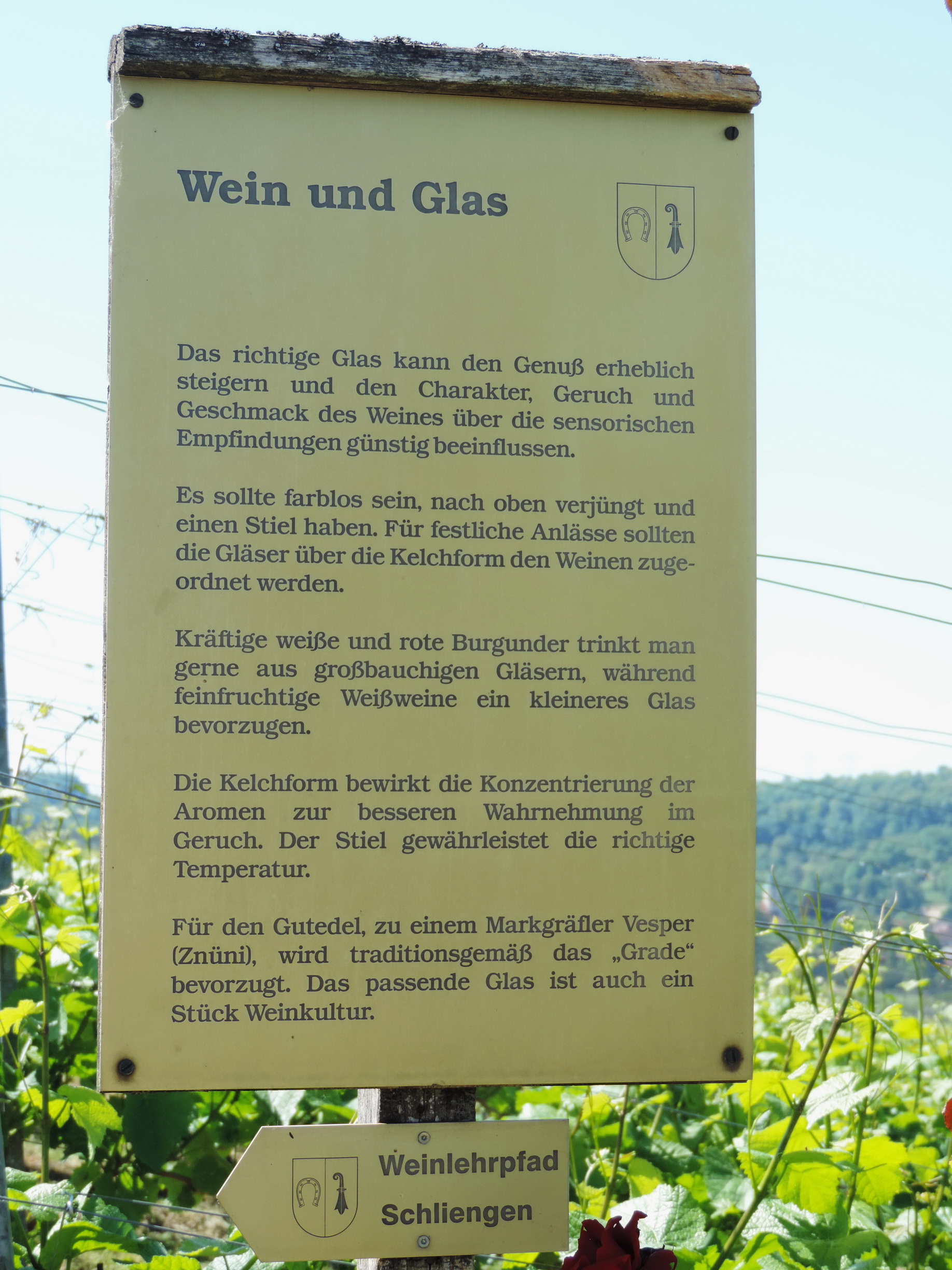 170527064_BSch_Wein und Glas