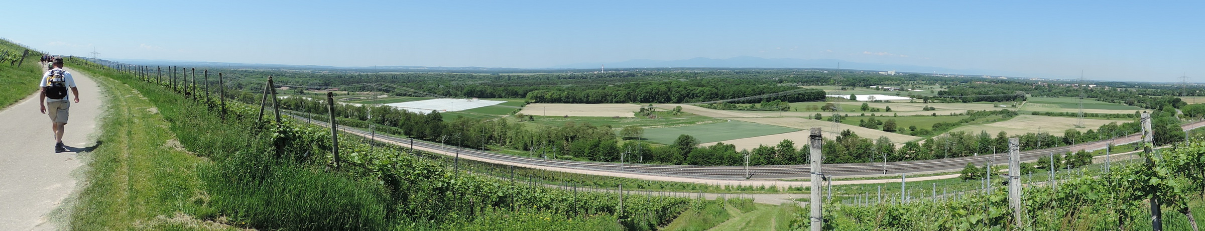 170527085_BP_Weinberge Rheinebene