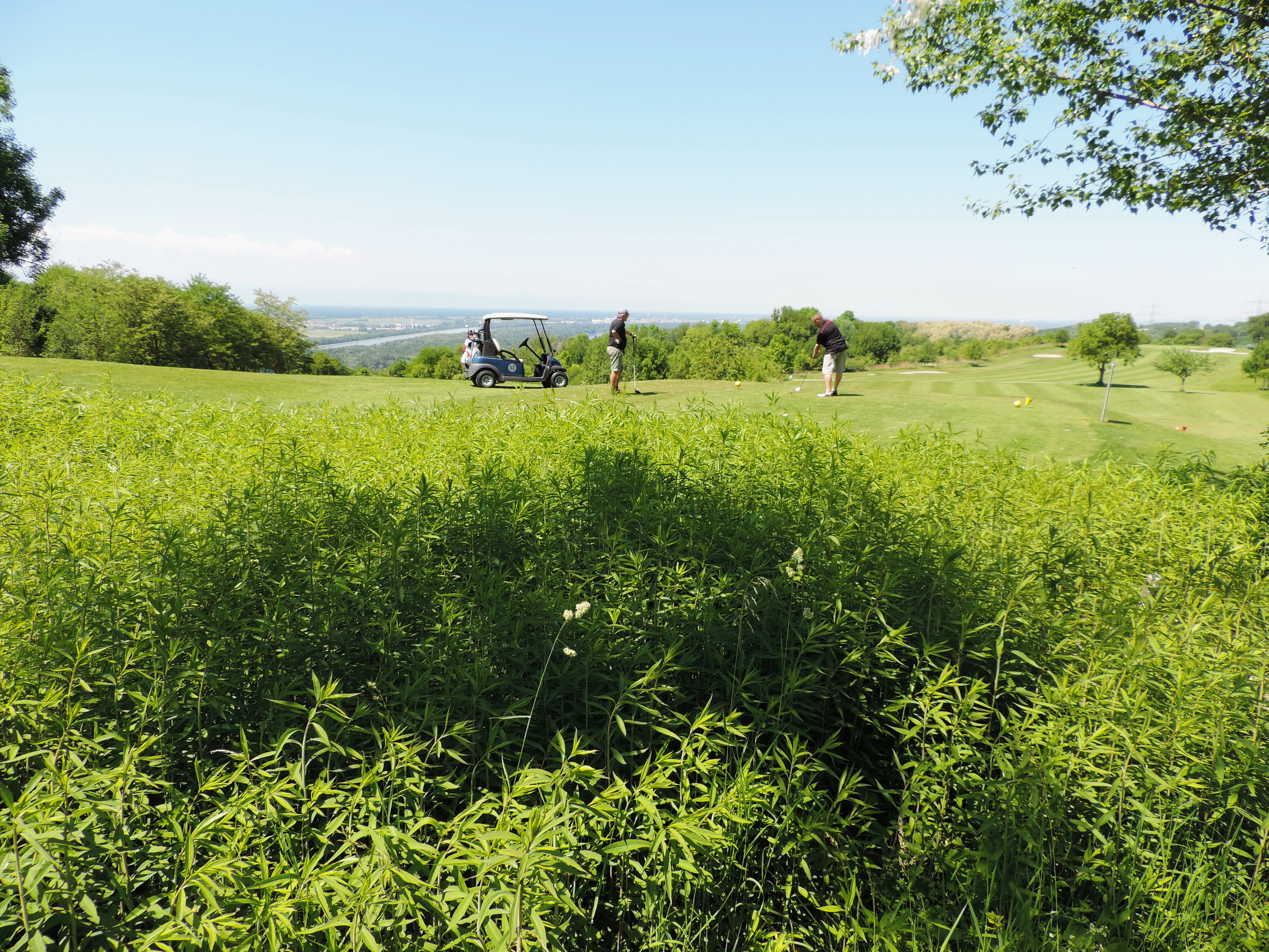 170527109_B_Golfplatz bei Bamlach