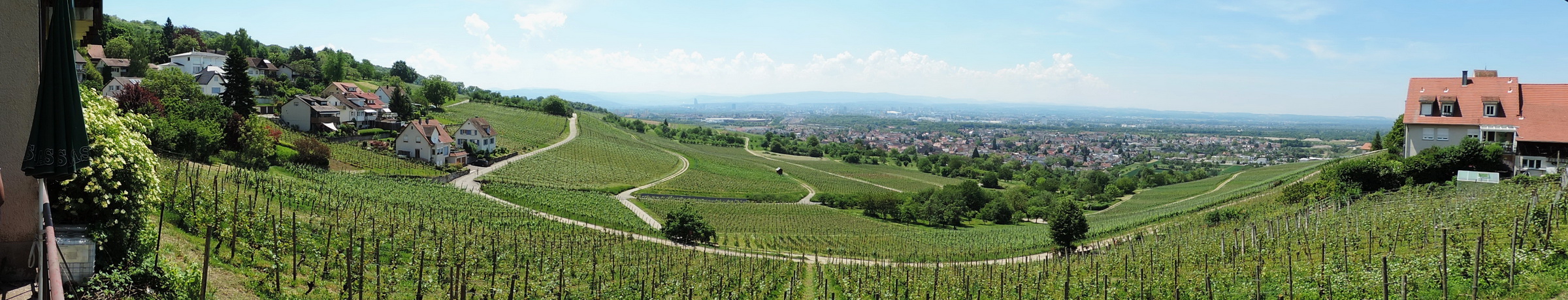 170528083_BP_oetlingen Weinberge Loerach