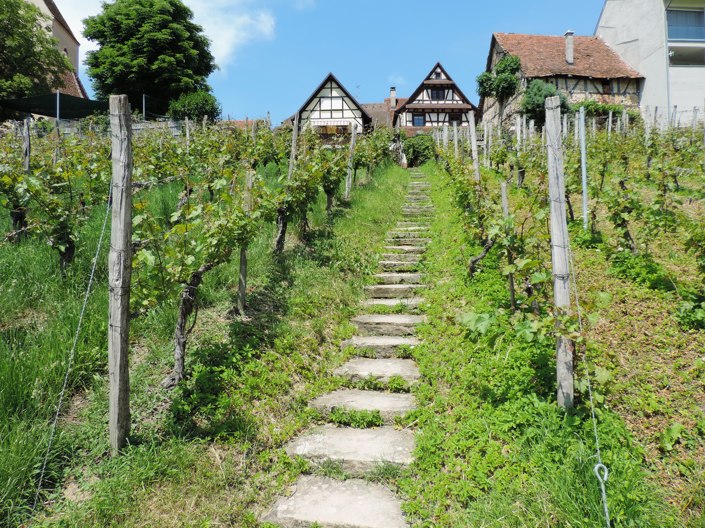 170528102_B_Das Dorf der Sonne Oetlingen