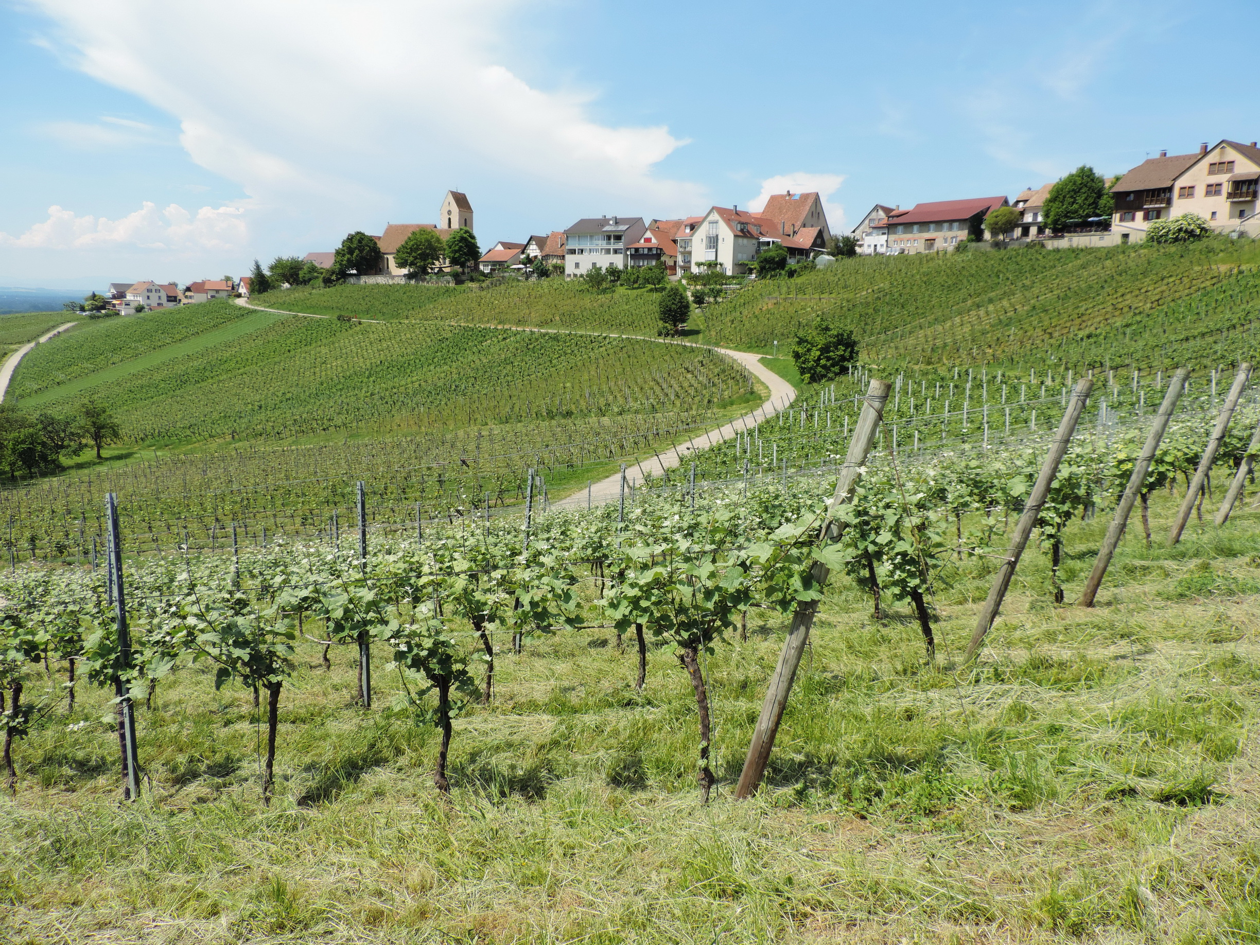 170528103_B_Otlingen auf einer Terasse