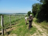 170528049_B_Weinberge Egringen