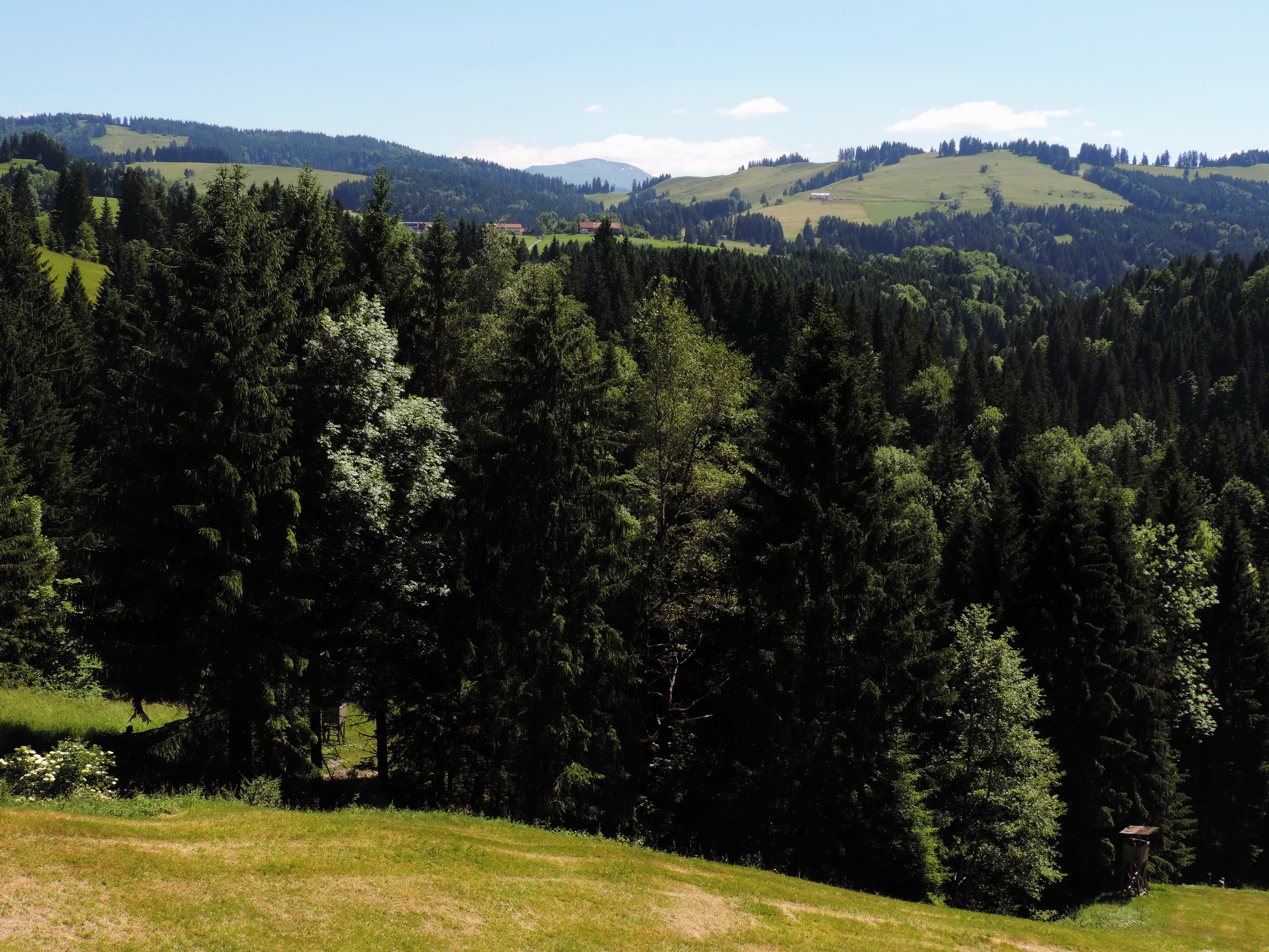 170618069_B_Salmaser Hoehe Hochgrat