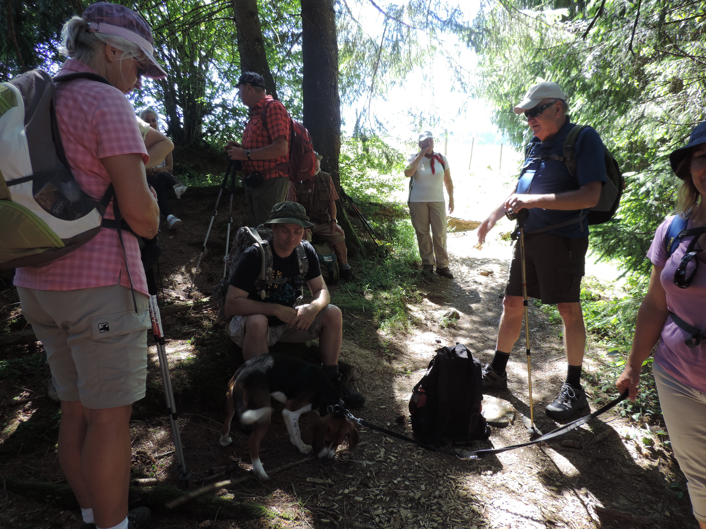 170618083_B_wohltuender Schatten