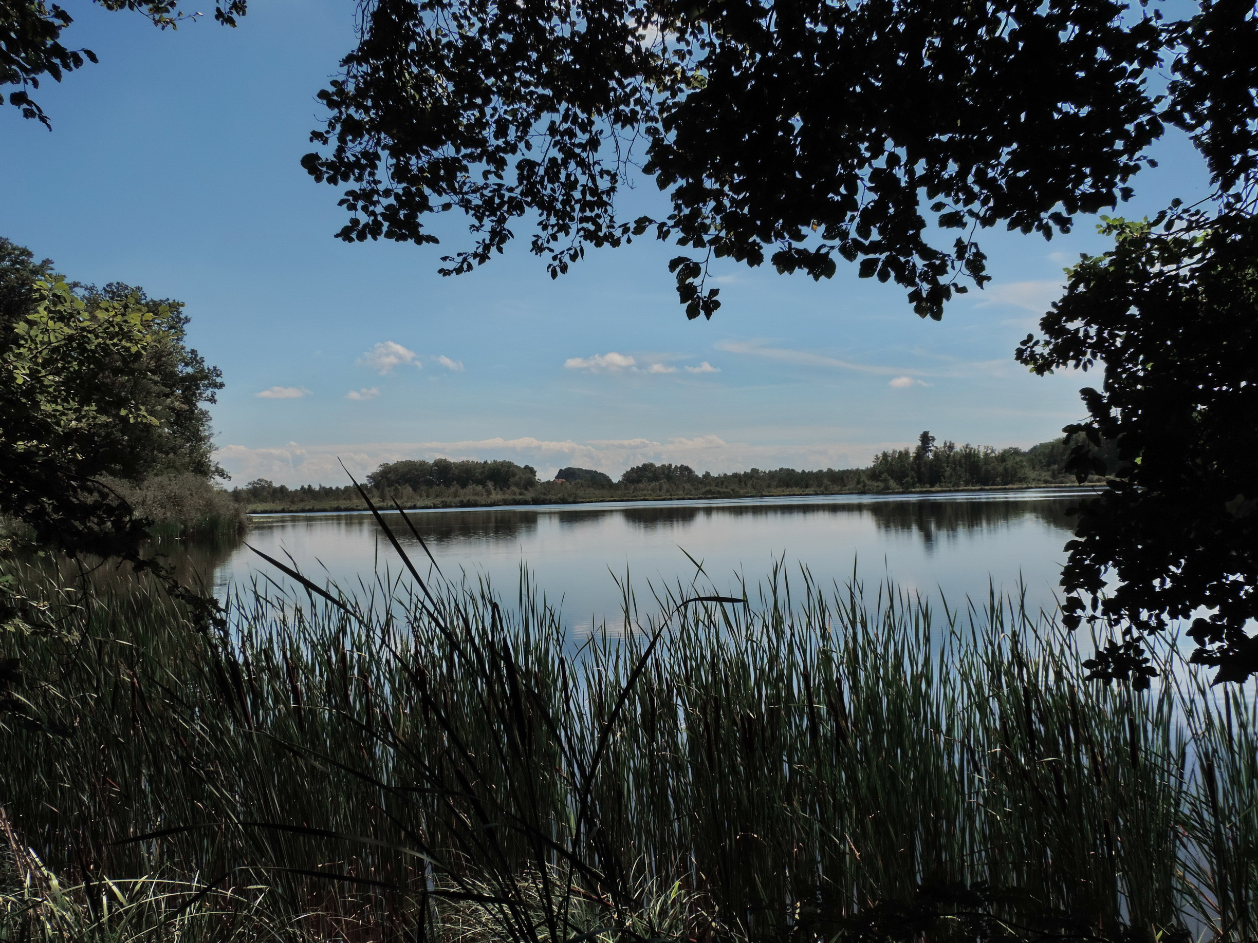 170813028_B_Hecklerweiher