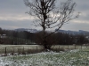 171203013_Blu_Birke