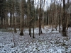 171203034_B_Wald