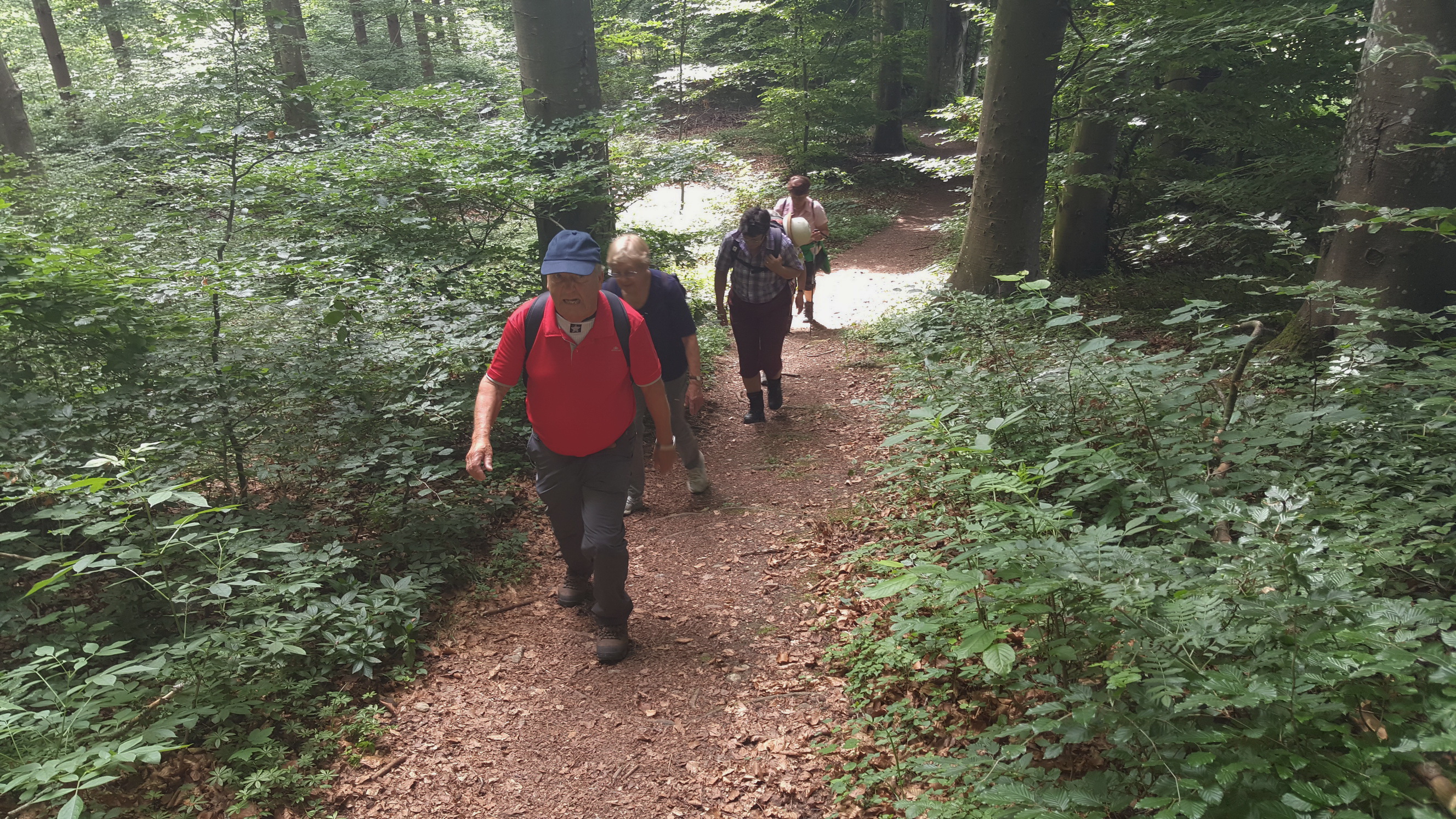 180527008_B_Aufstieg im Wald