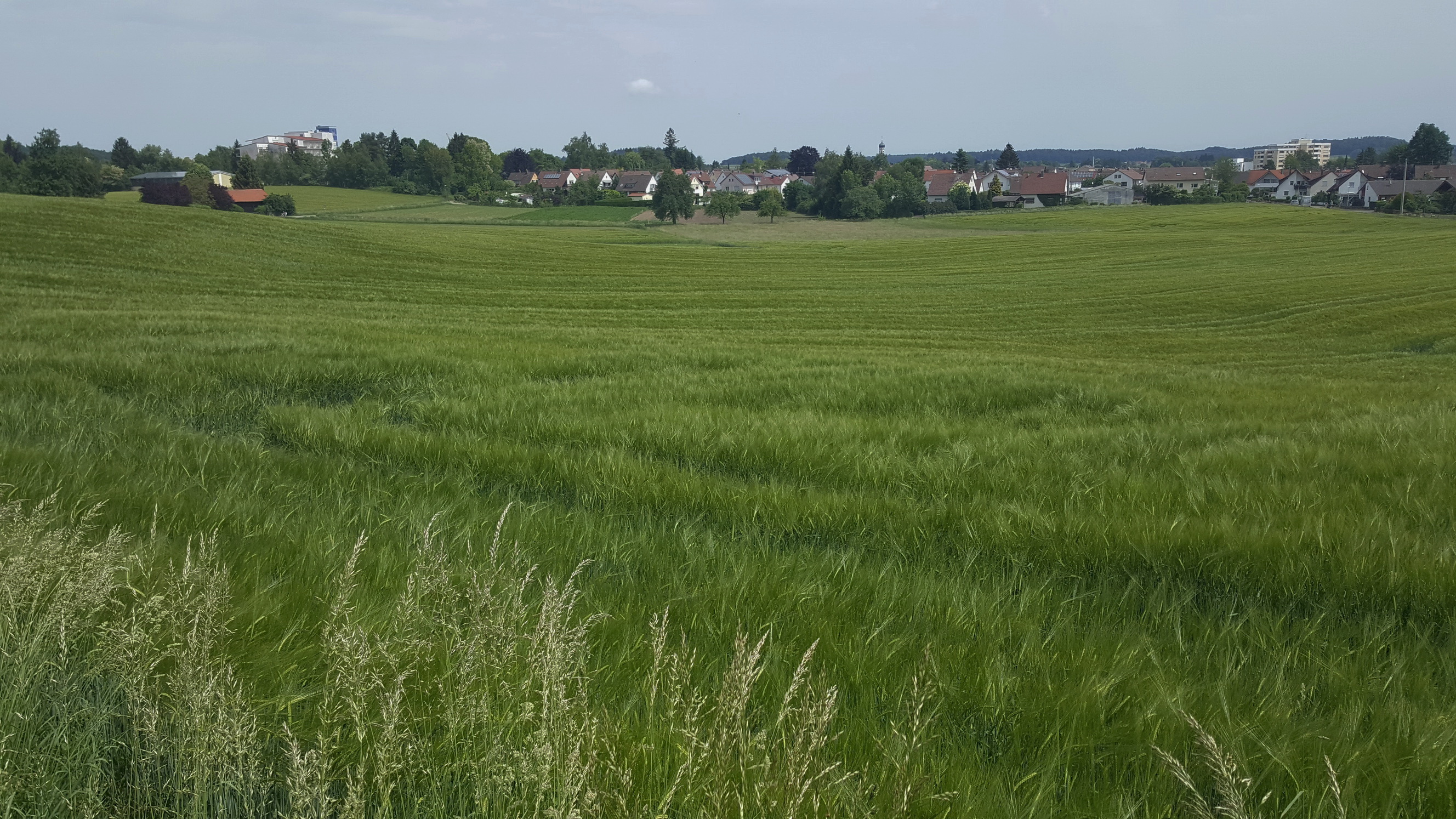 180527039_B_ Bad Schussenried