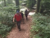 180527008_B_Aufstieg im Wald