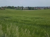 180527039_B_ Bad Schussenried