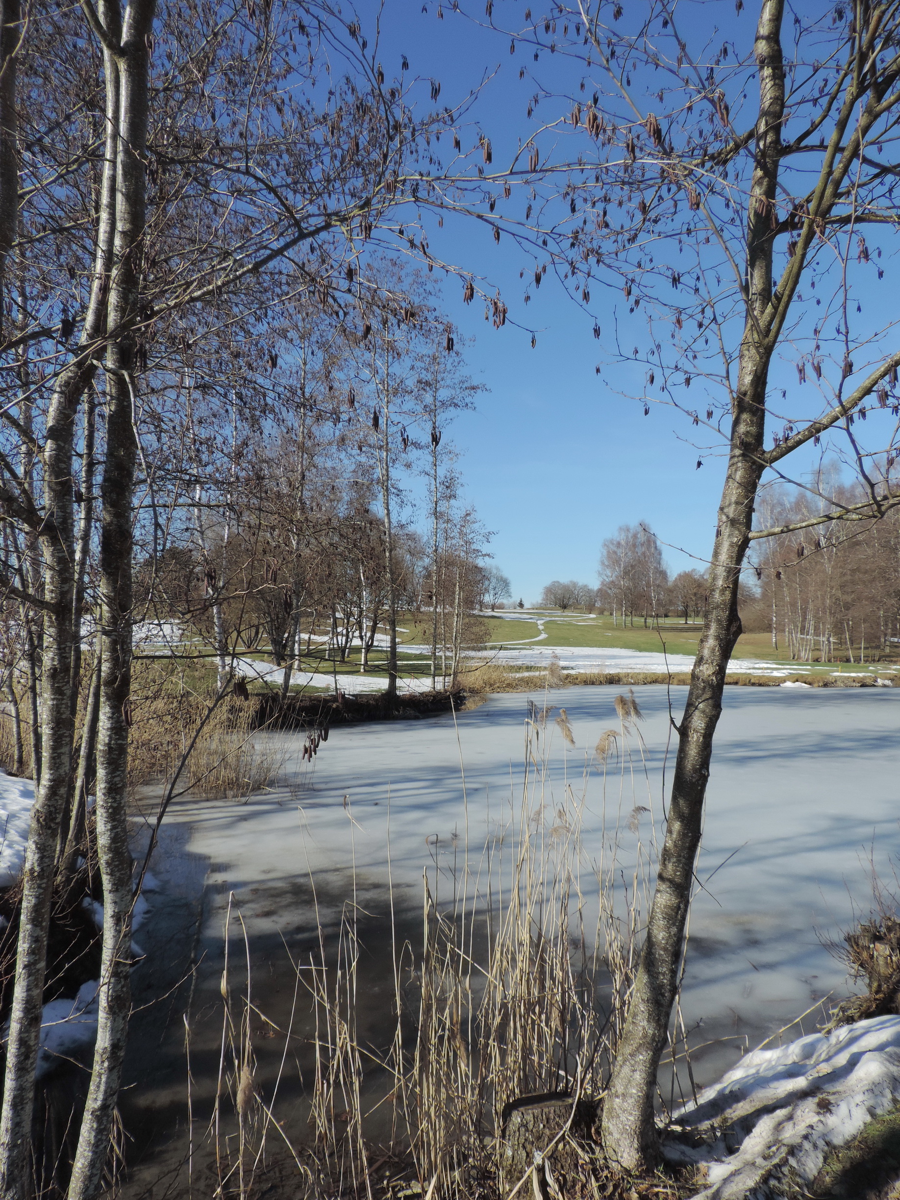 190217041_B_See Golfplatz Bad Waldsee