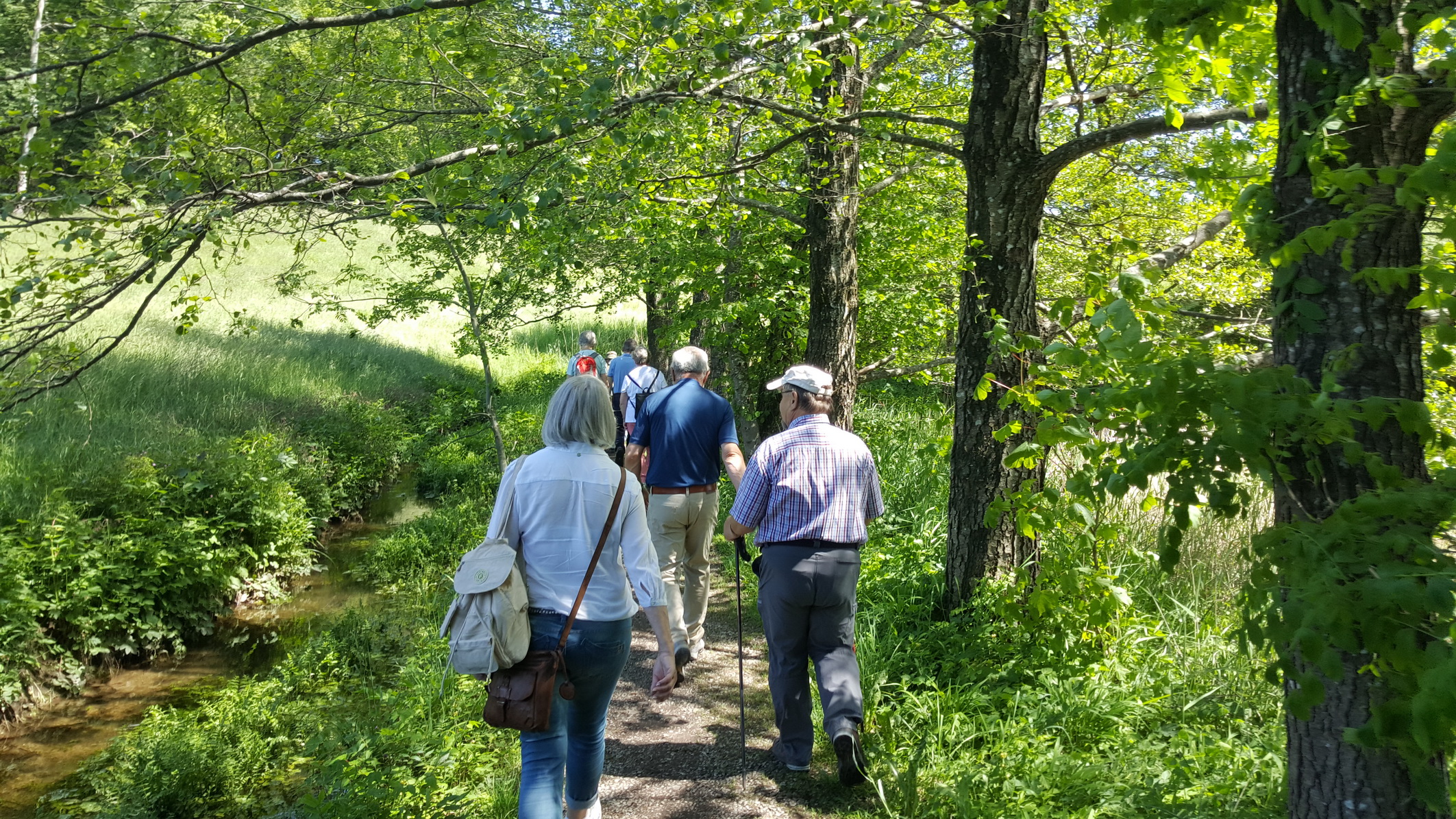 190601024_B_Am Stillen Bach um den Roessler Weiher