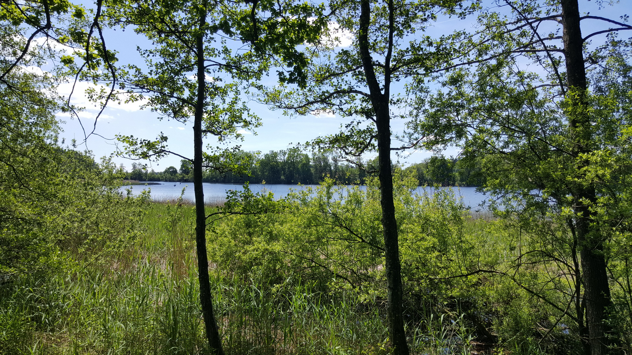 190601028_B_Roessler Weiher