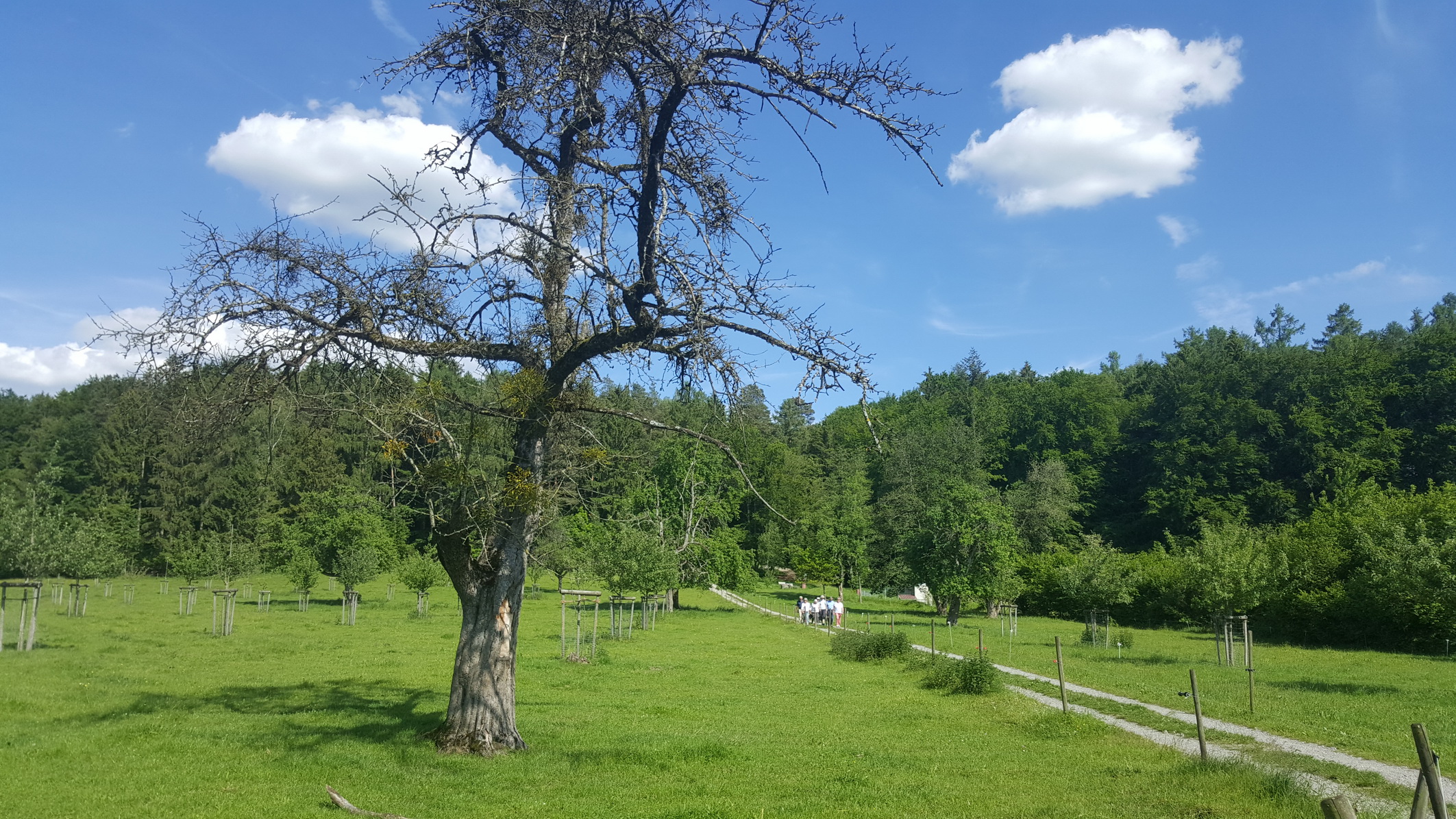 190601052_B_Wandergruppe nach Nessenreben