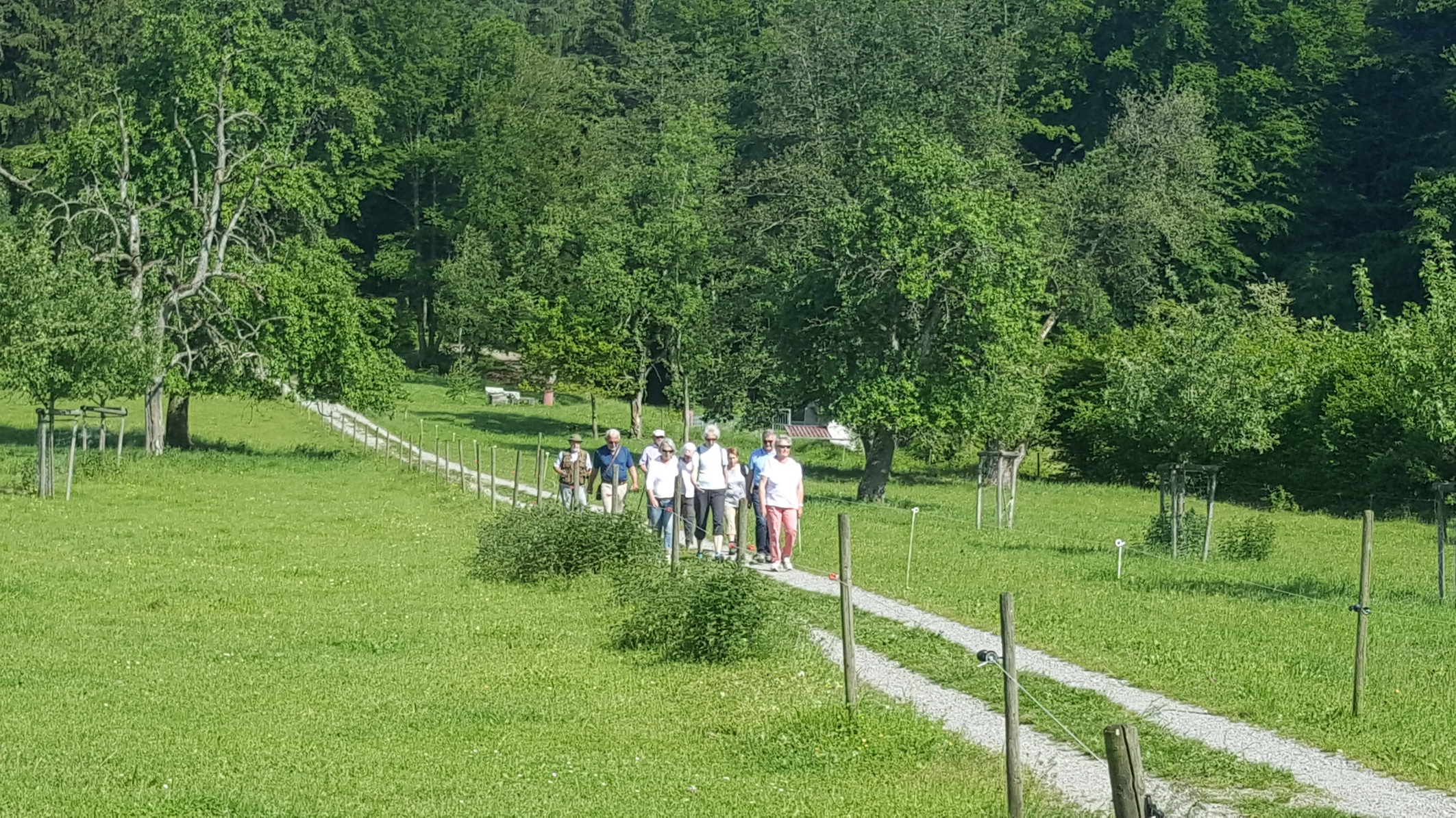 190601053_B_Wandergruppe nach Nessenreben