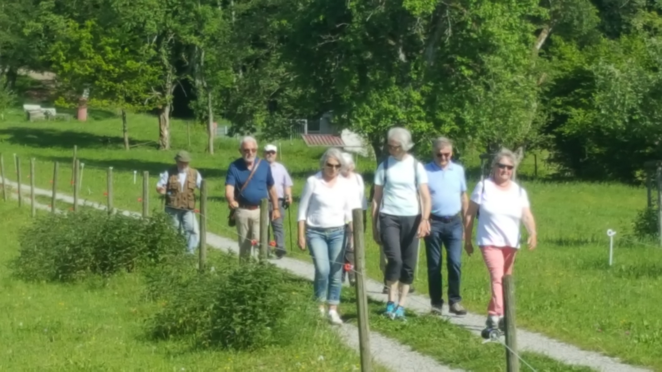 190601054_B_Wandergruppe nach Nessenreben