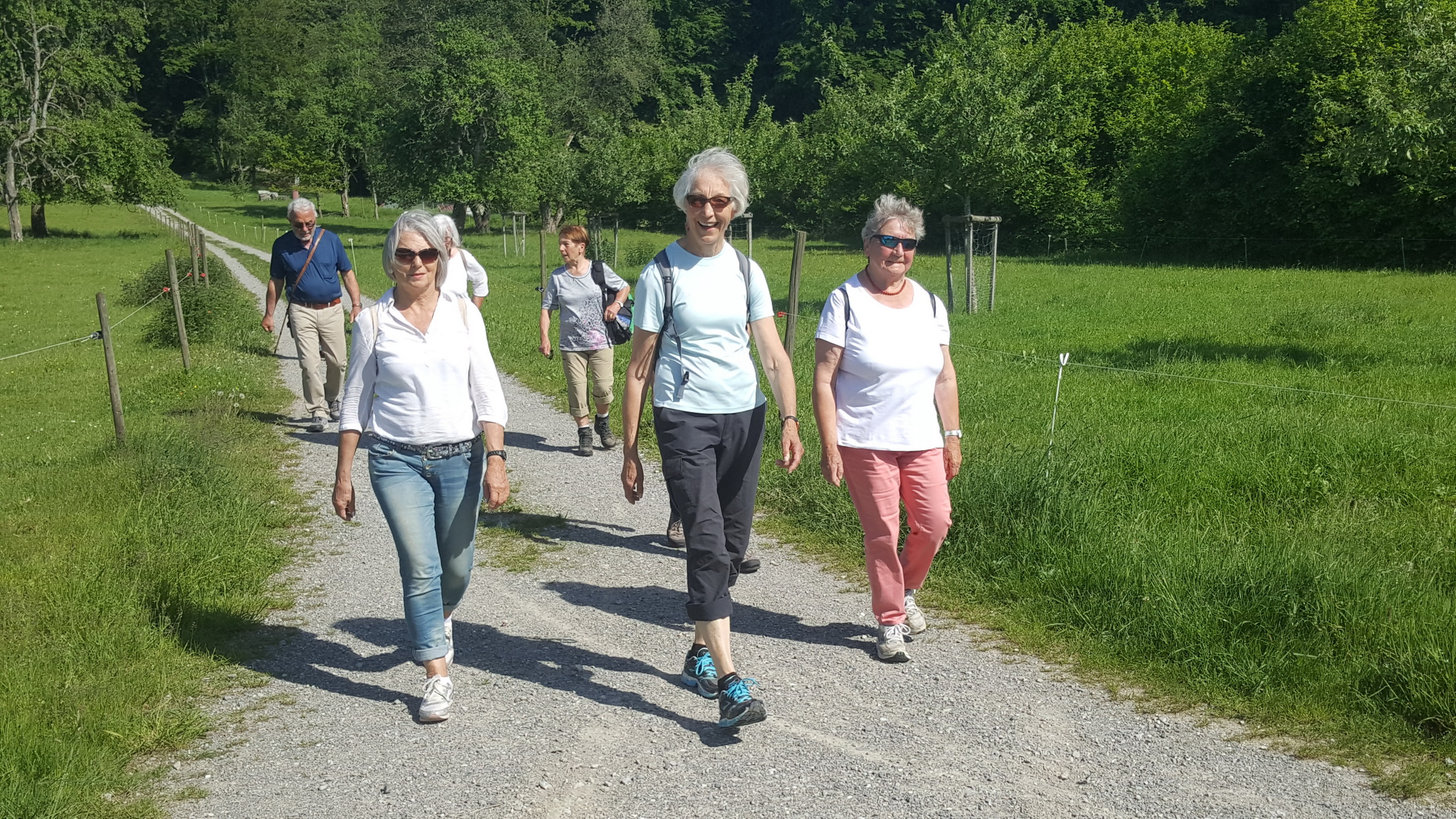190601055_B_Wandergruppe nach Nessenreben