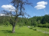 190601052_B_Wandergruppe nach Nessenreben