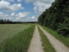 190621136_B_am Waldrand