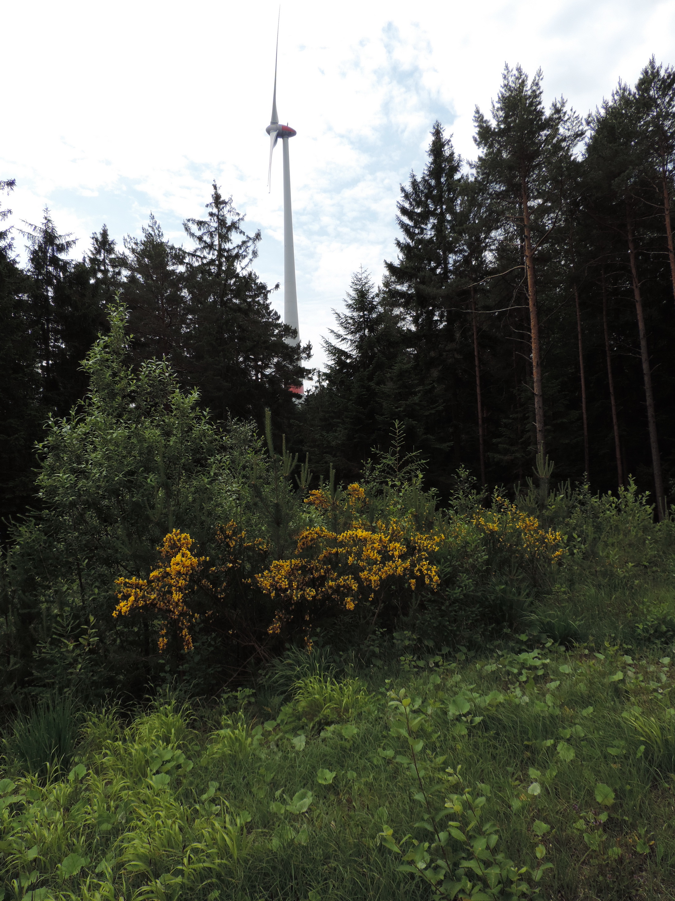 190622058_B_Buergerenergiewindpark Duerrwangen