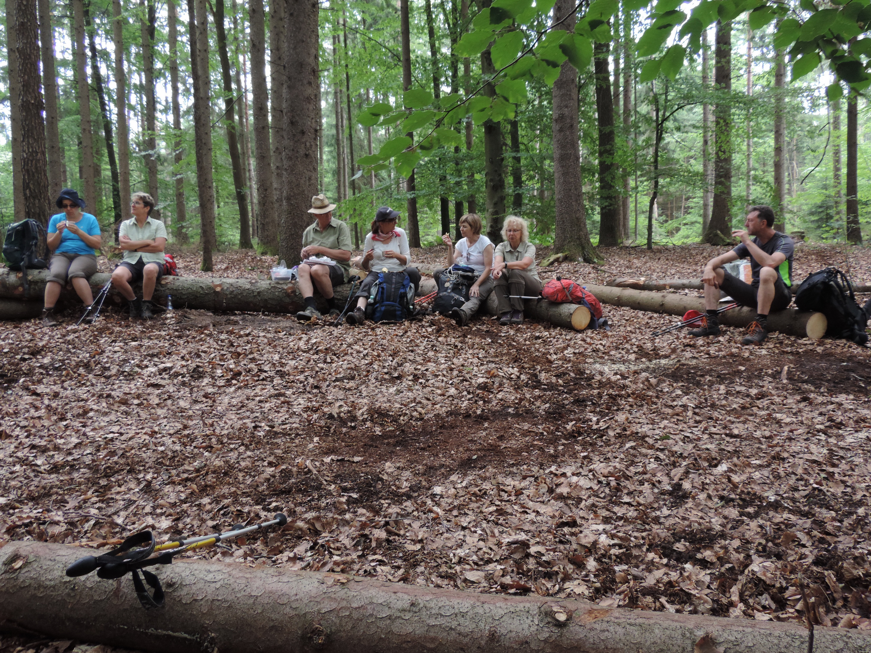 190622065_B_Mittagspause Naehe Dickersbronn