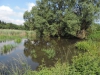 190623058_B_Rotach mit Muehleweiher