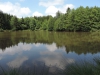 190623072_B_Weiher beim Zwiebelshof