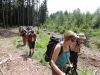 190623073_B_Wald beim Zwiebelshof