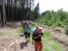 190623074_B_Wald beim Zwiebelshof