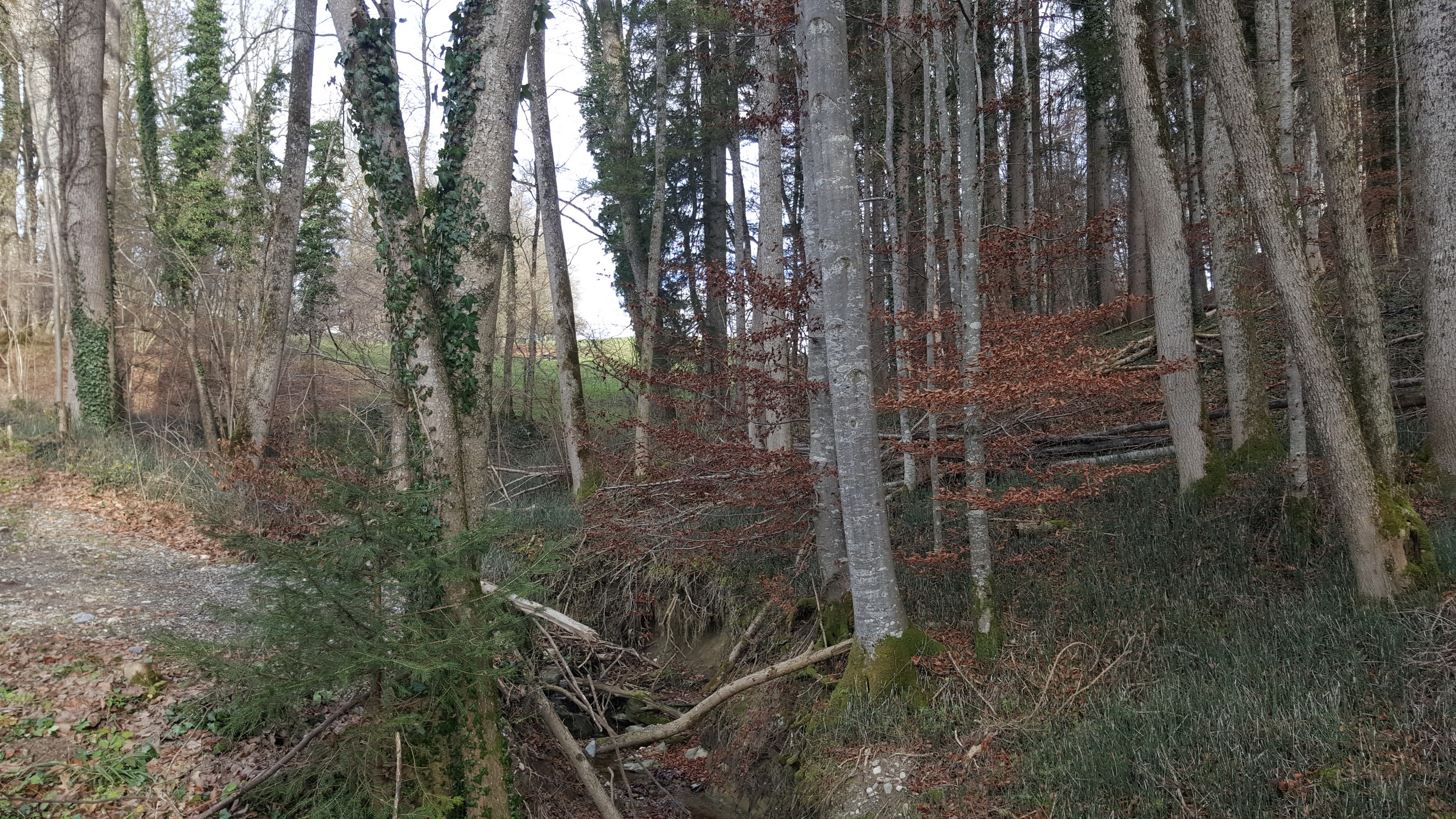 20191208009_B_Bach