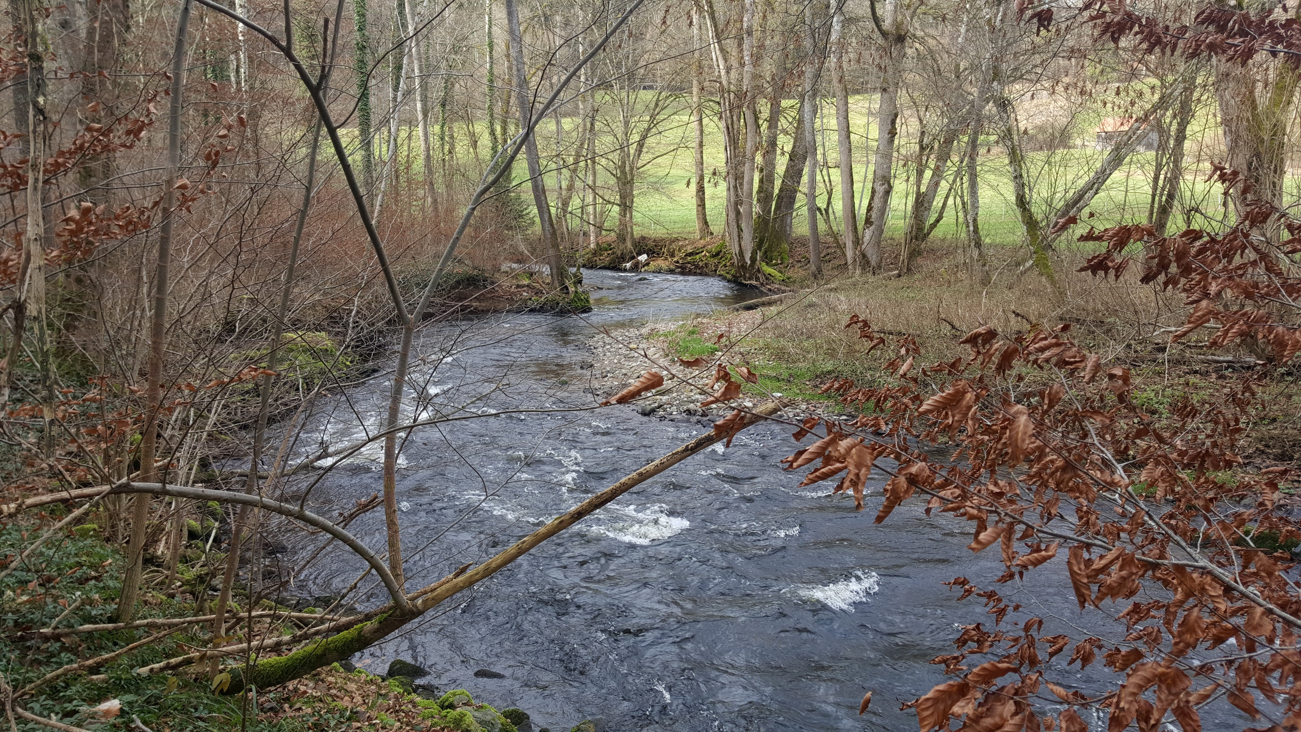 20191208019_B_Wolfegger-Ach-Meander