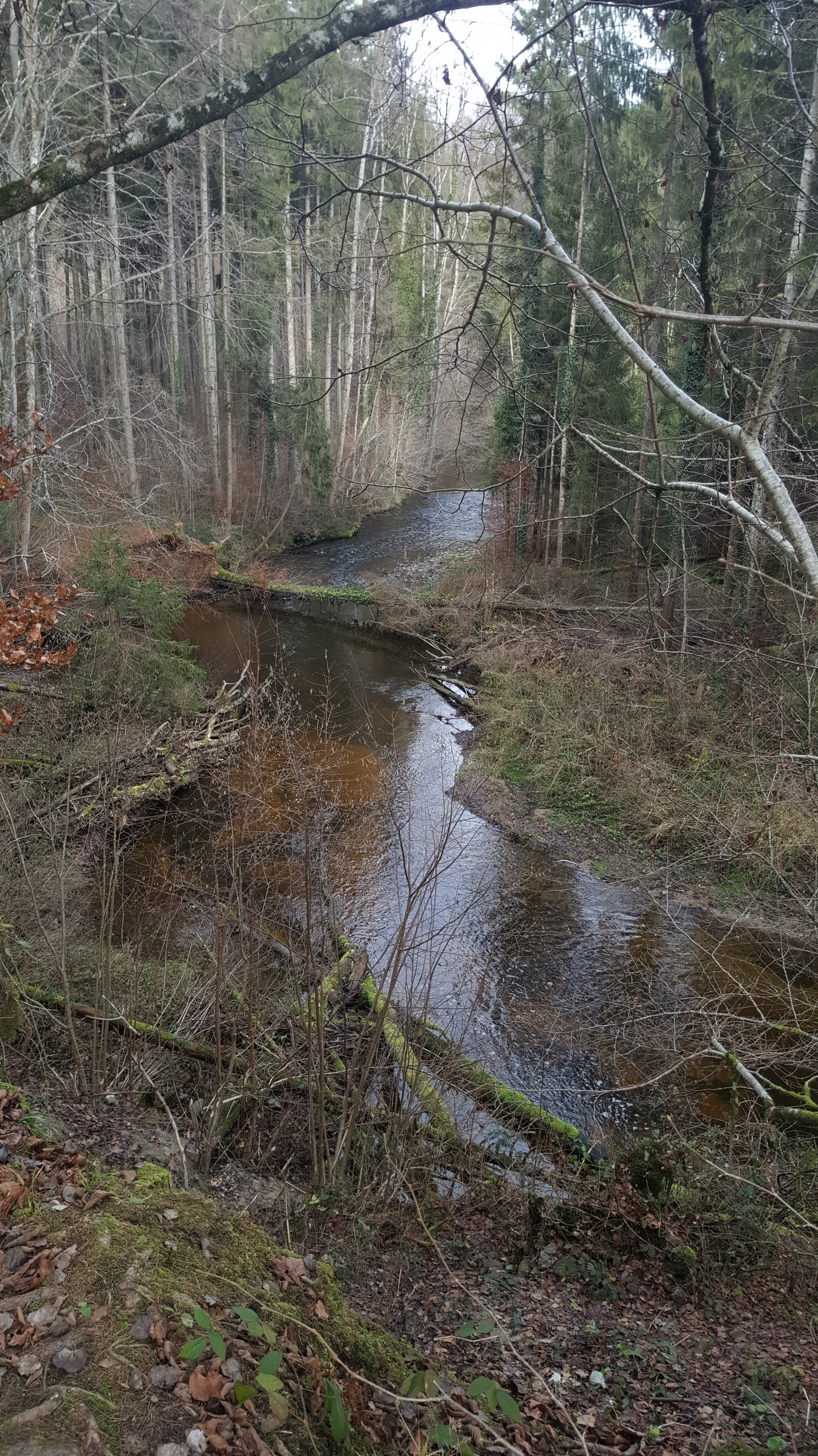 20191208027_B_Wolfegger-Ach